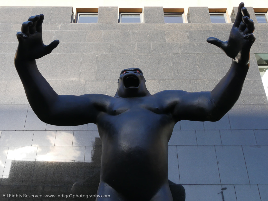 Panasonic Lumix DMC-GH4 sample photo. King kong is coming photography