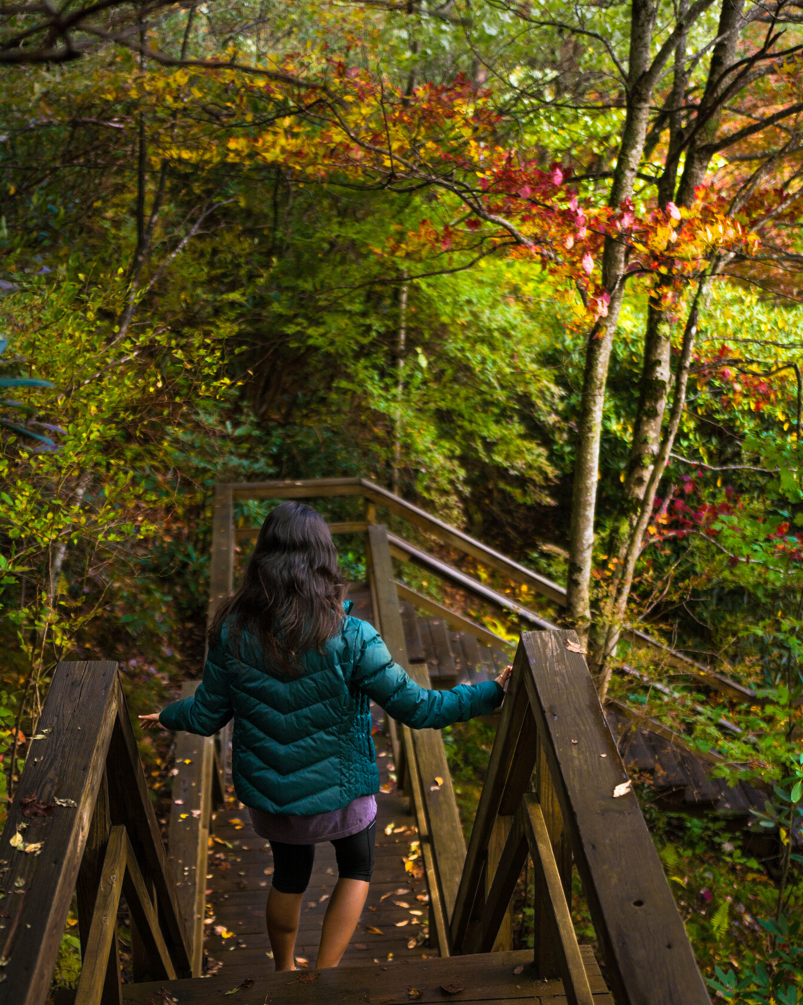 Nikon D5200 + Sigma 18-35mm F1.8 DC HSM Art sample photo. Stairs at graveyard fields photography