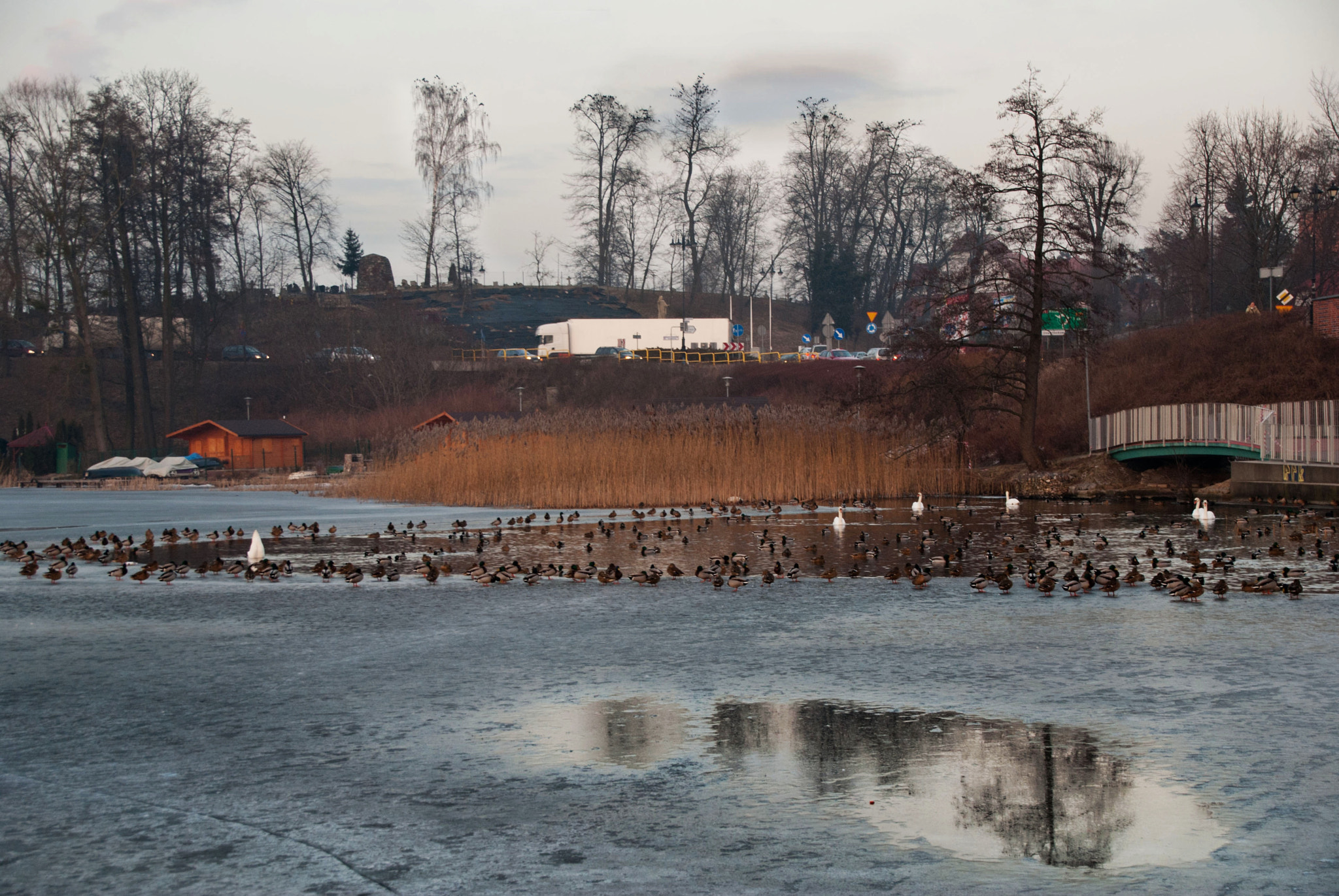 Sony Alpha DSLR-A300 + Tamron 18-270mm F3.5-6.3 Di II PZD sample photo. Czekając na wiosnę photography