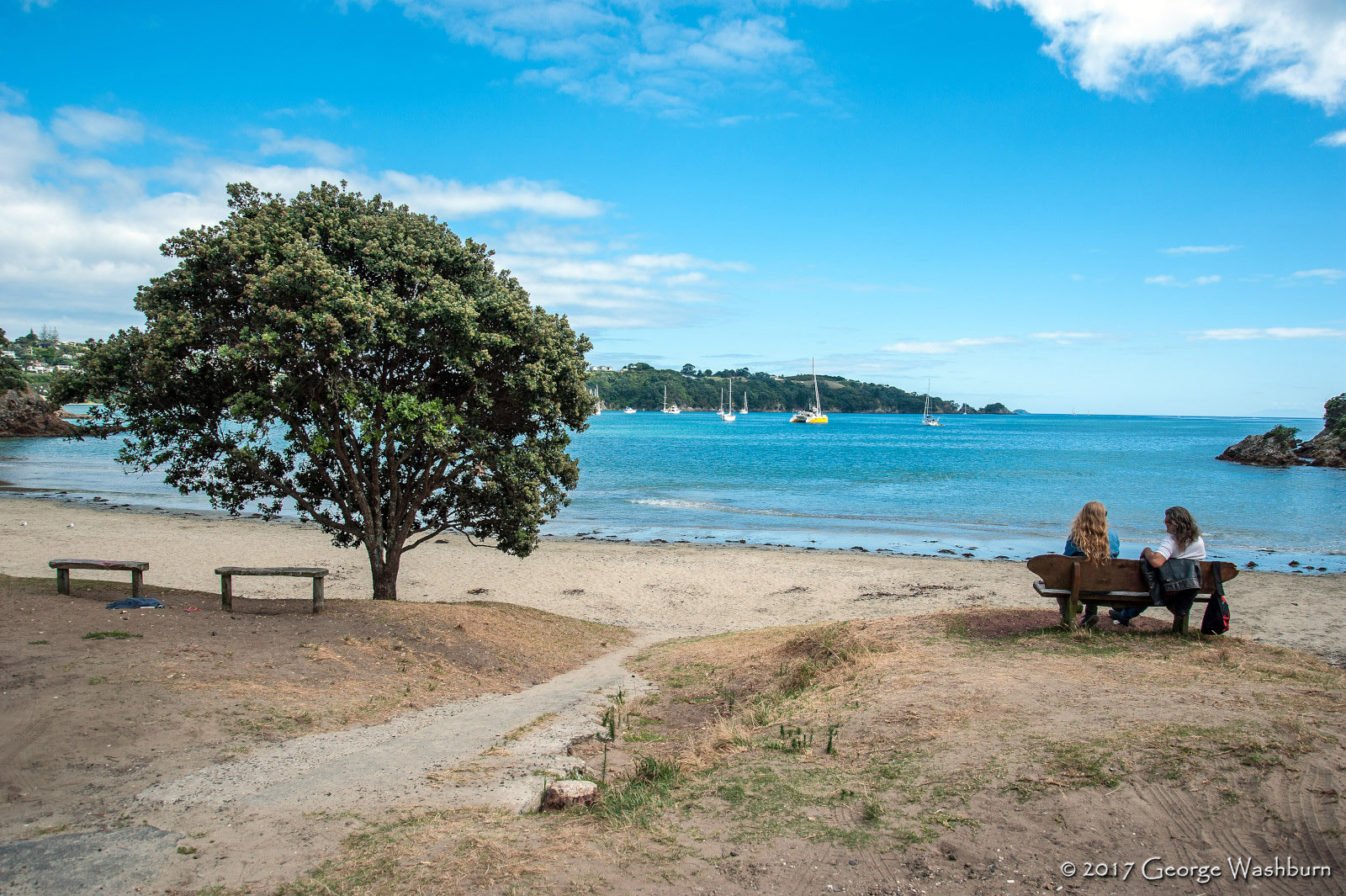 Nikon D700 sample photo. Nz() waiheke island photography