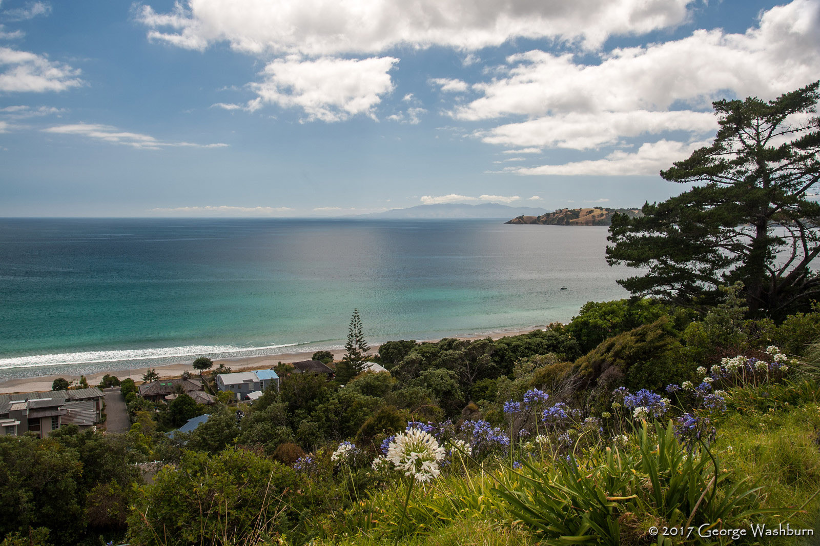 Nikon D700 sample photo. Nz() waiheke island photography