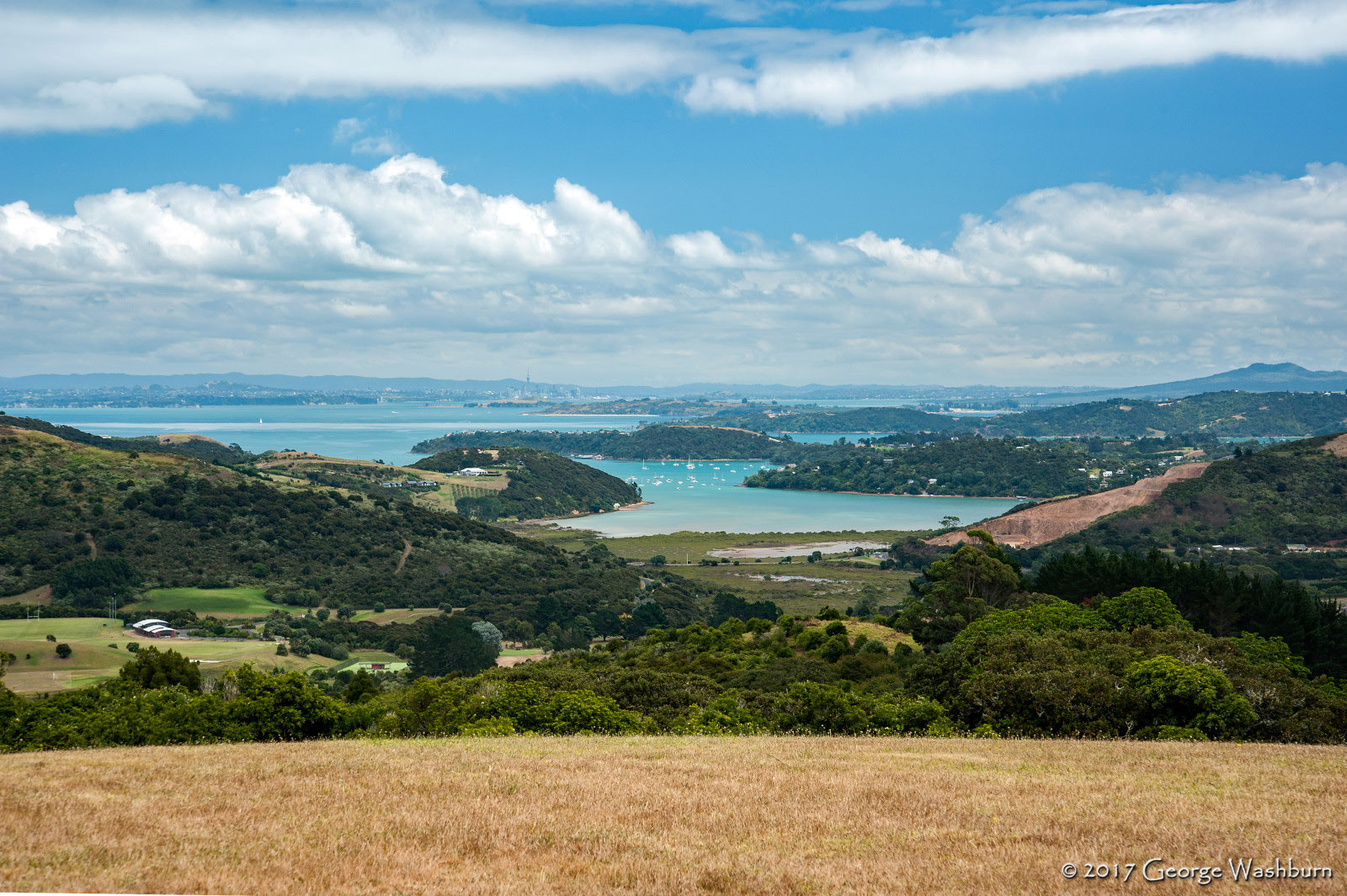 Nikon D700 sample photo. Nz() waiheke island photography