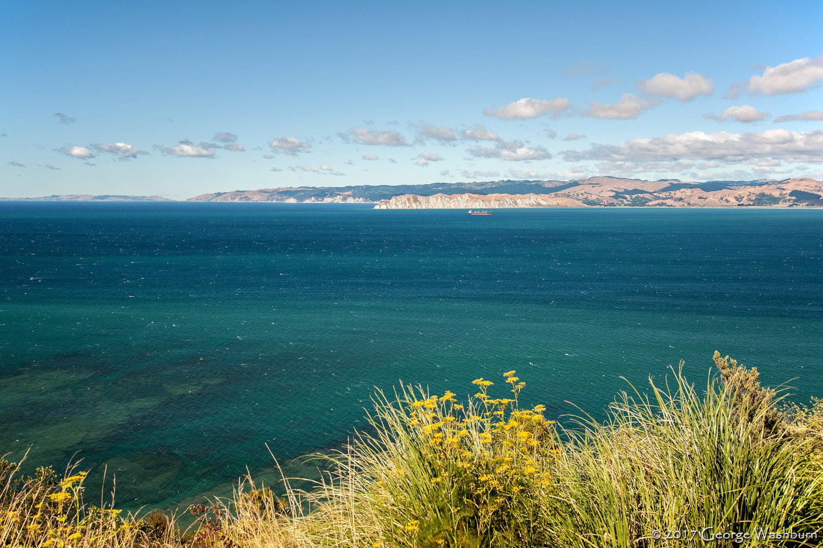 Nikon D700 sample photo. Nz() gisborne photography