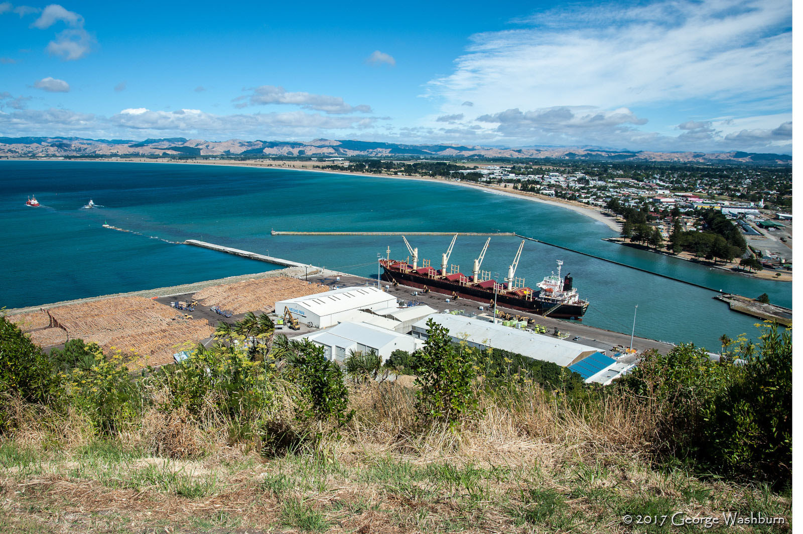 Nikon D700 sample photo. Nz() gisborne photography