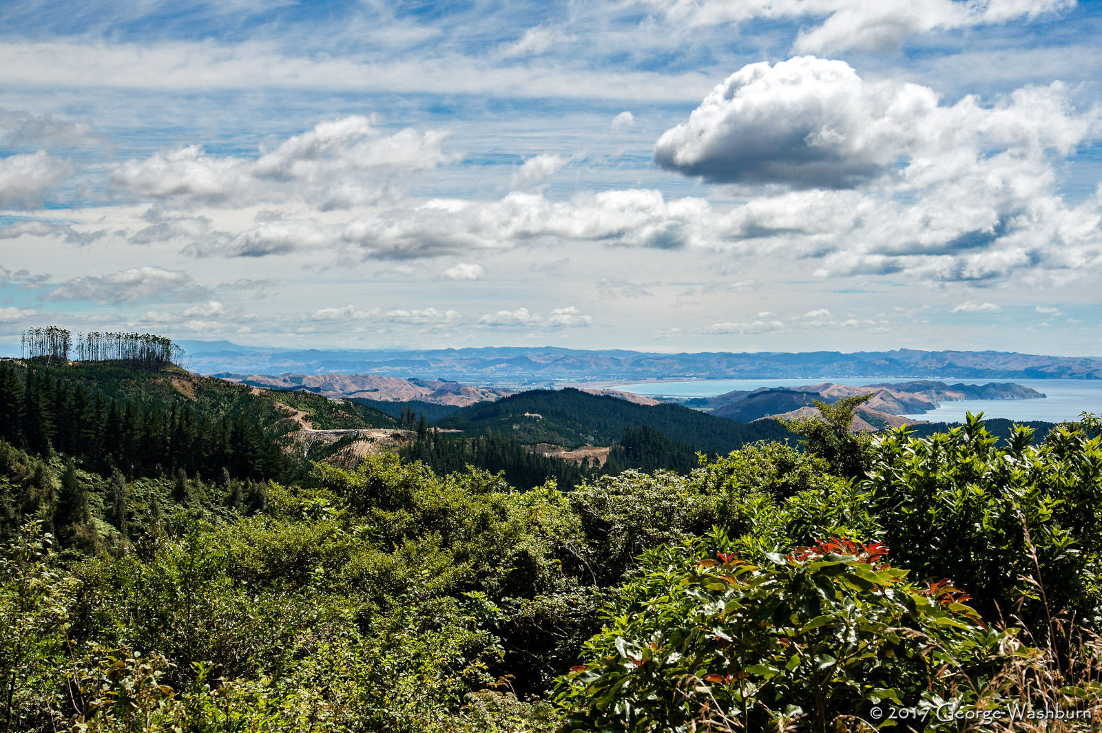 Nikon D700 sample photo. Nz() hawke's bay photography