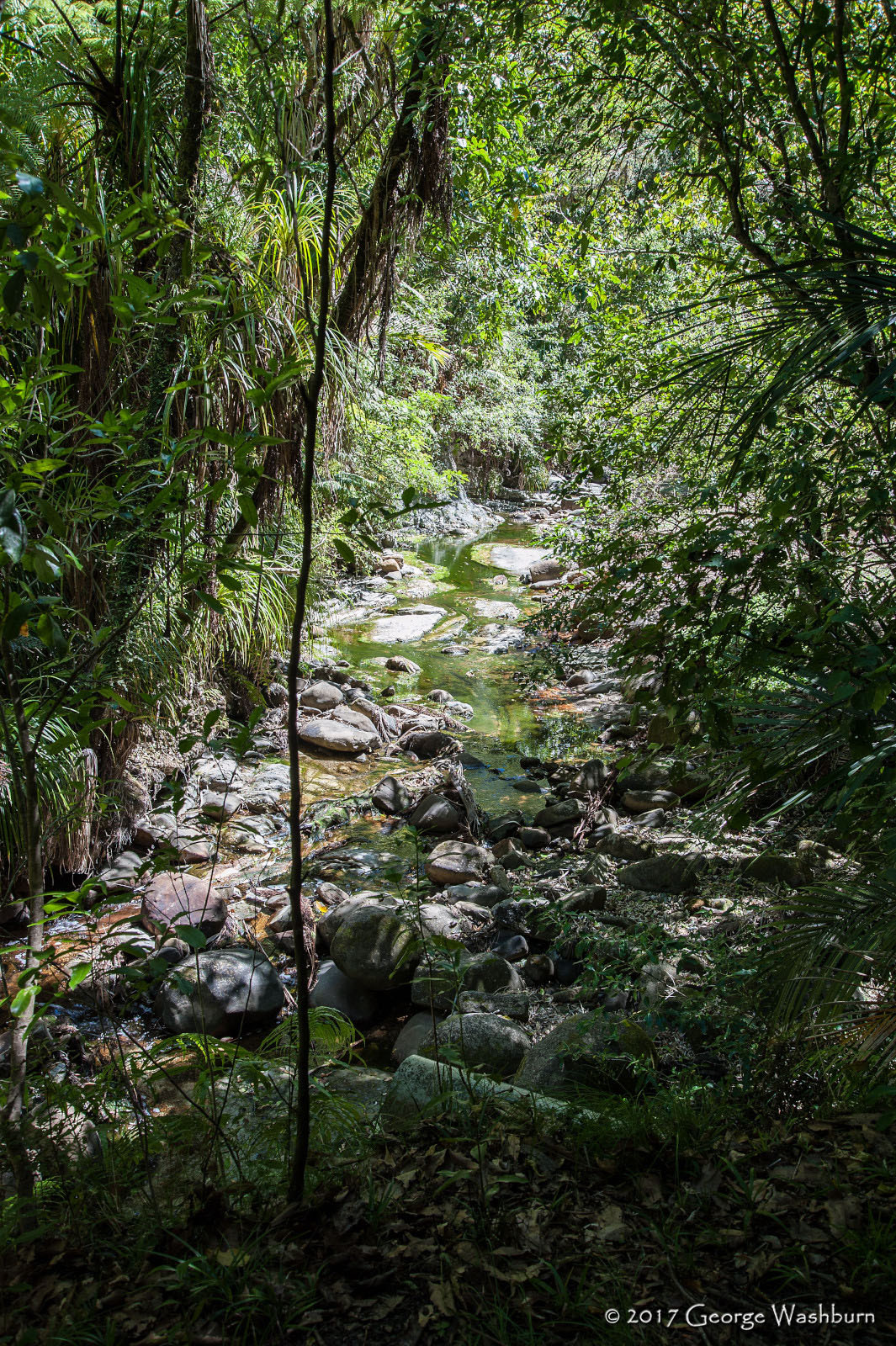 Nikon D700 sample photo. Nz() hawke's bay photography