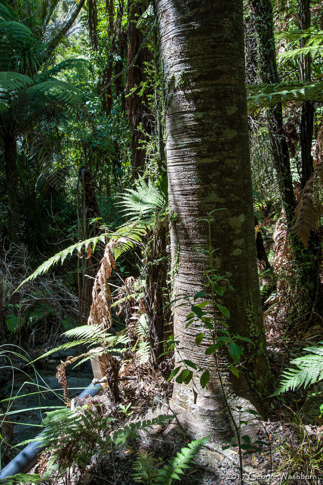 Nikon D700 sample photo. Nz() hawke's bay photography