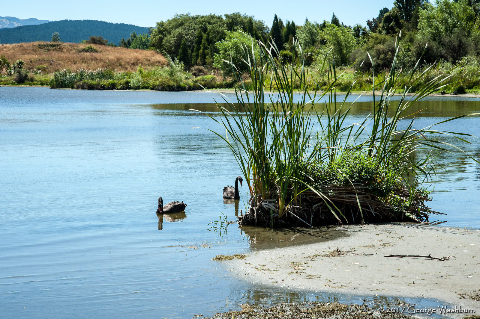 Nikon D700 sample photo. Nz() hawke's bay photography