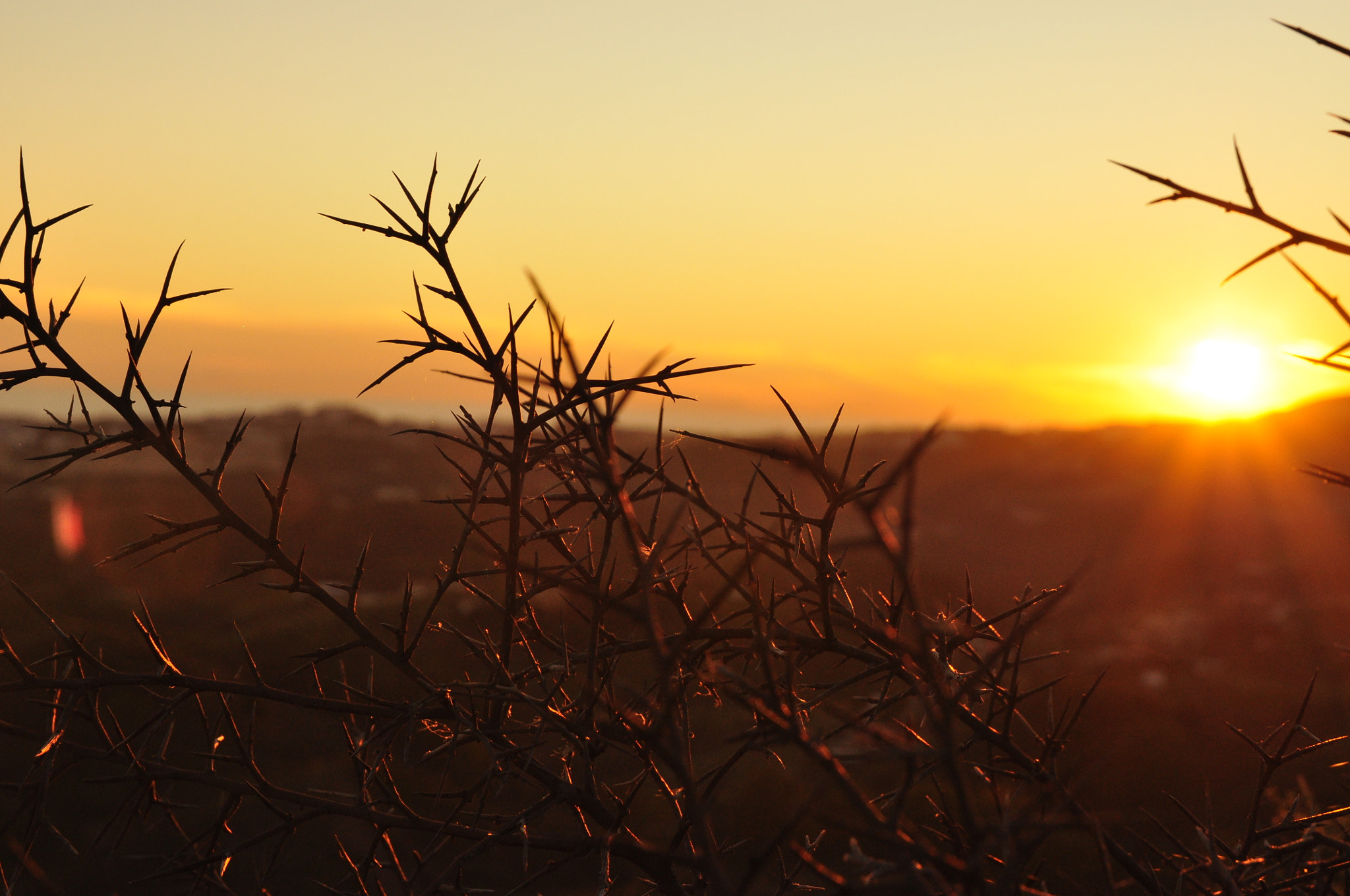Sigma 17-50mm F2.8 EX DC OS HSM sample photo. Sunset photography