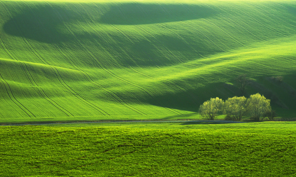 KONICA MINOLTA DYNAX 7D sample photo. Green moravia photography