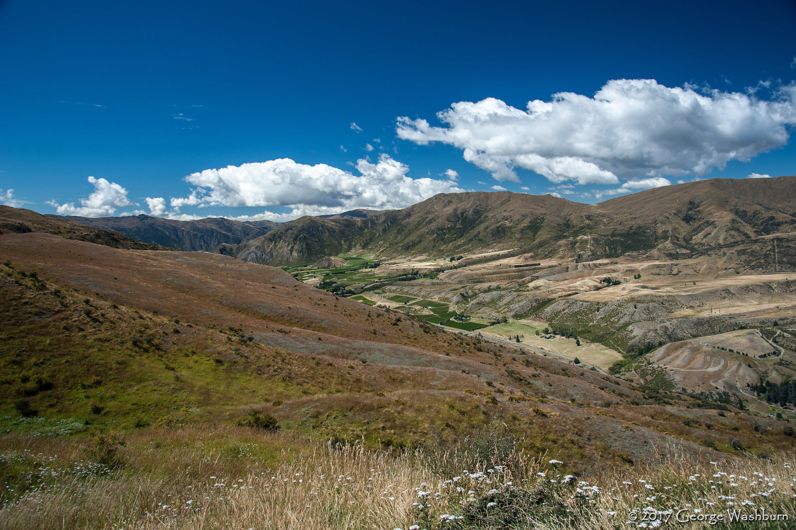 Nikon D700 sample photo. Nz() gibbston valley photography