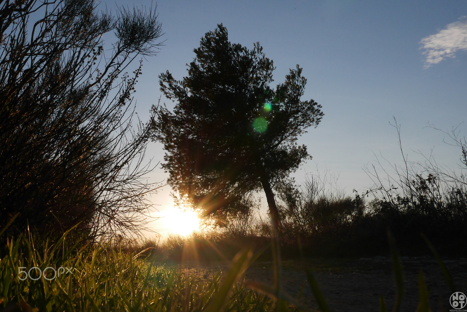 Panasonic Lumix DMC-GX7 sample photo. Warmth in winter photography