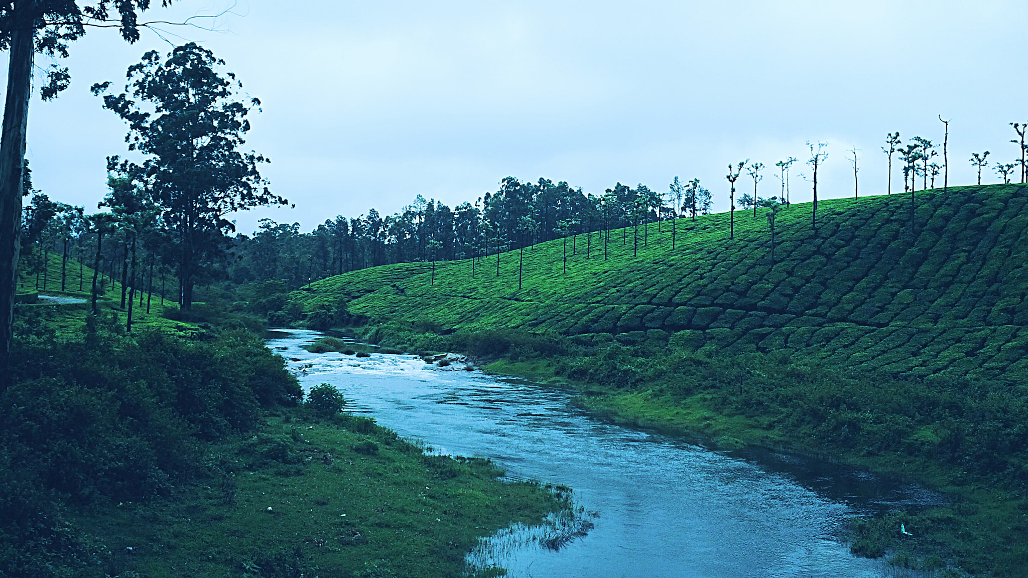 BlackBerry Z10 sample photo. Valparai, tamilnadu. photography