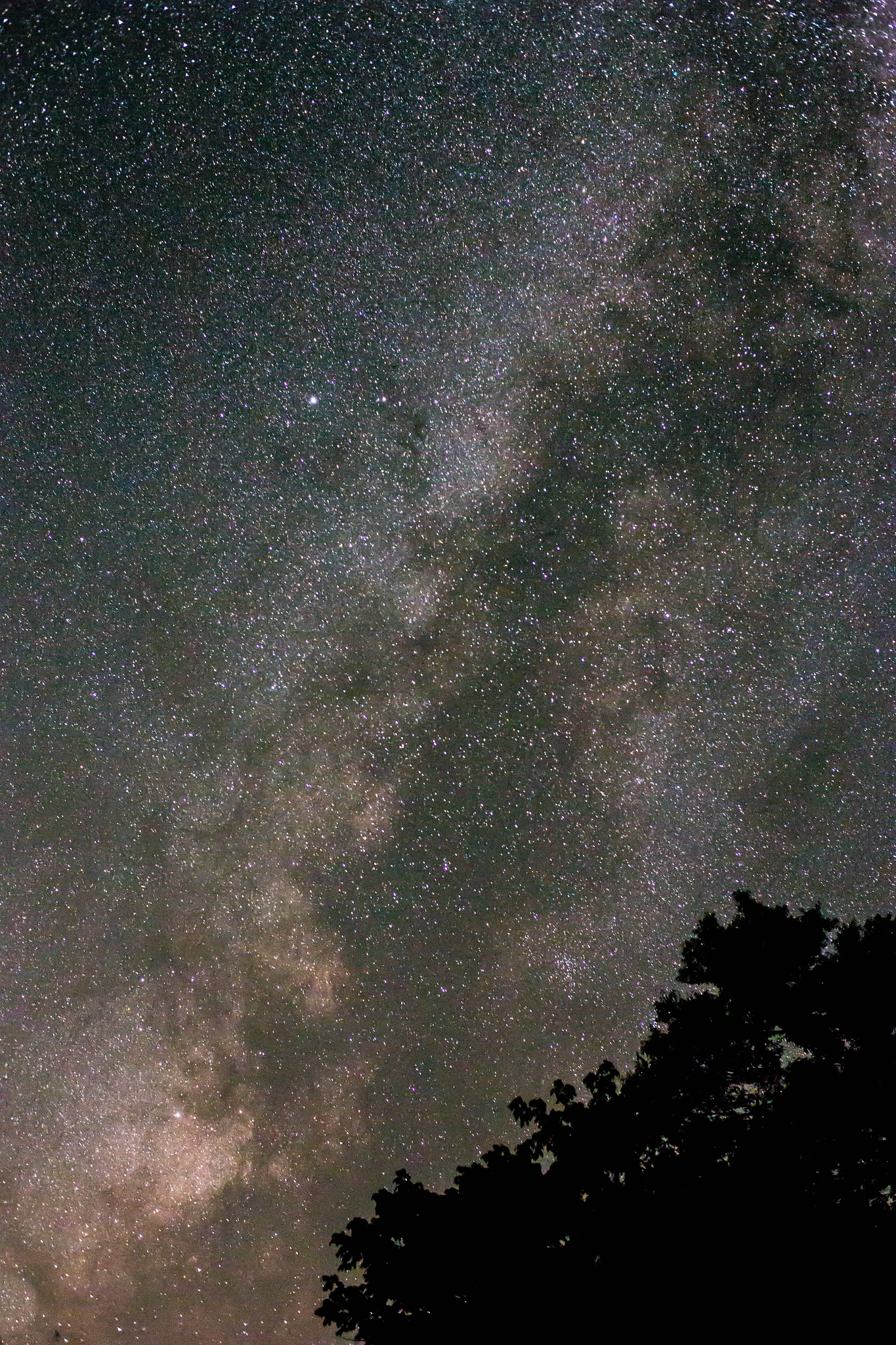 ZEISS Planar T* 50mm F1.4 sample photo. Milky way photography