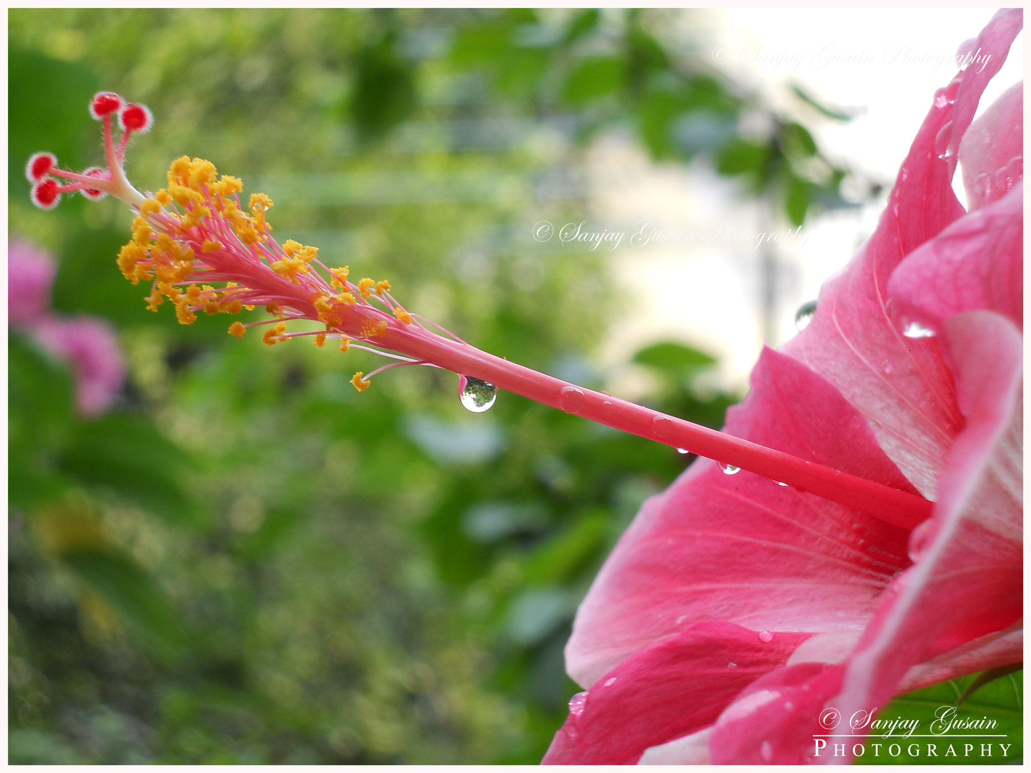 Nikon Coolpix L21 sample photo. Copy photography