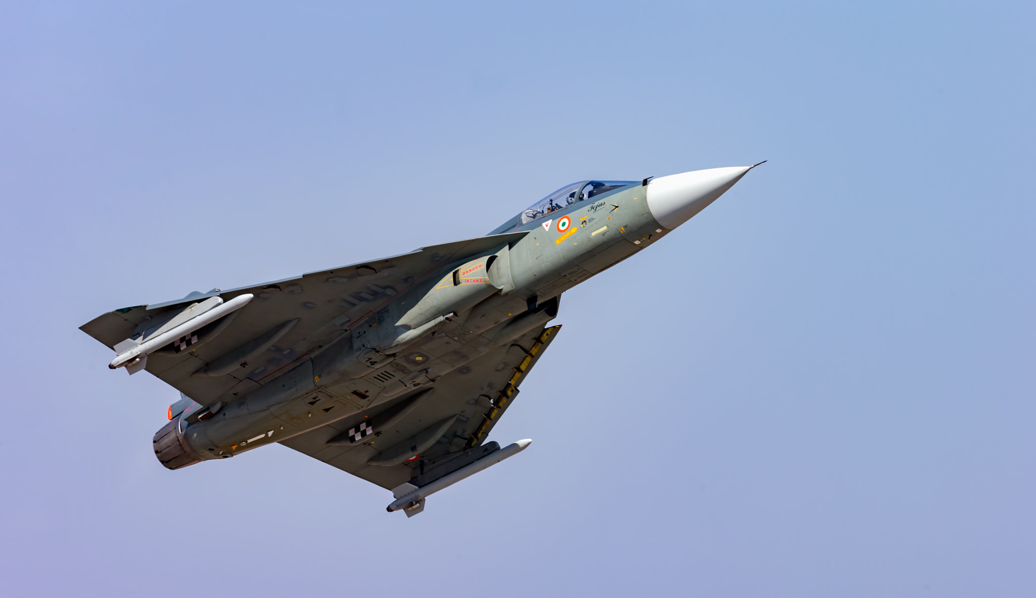 Canon EF 600mm F4L IS II USM sample photo. Hal tejas photo run photography