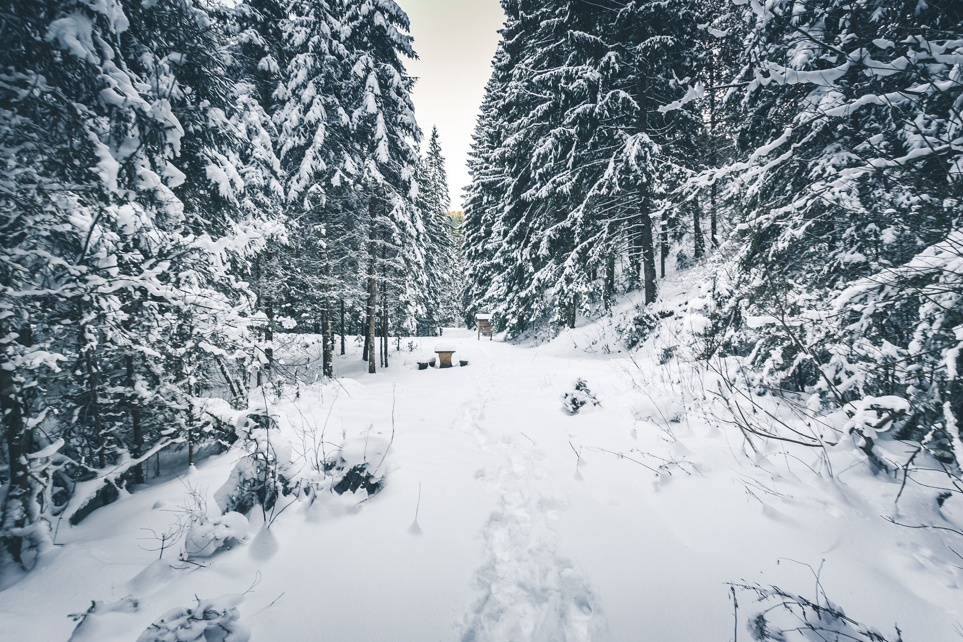 Nikon D3100 + Sigma 10-20mm F3.5 EX DC HSM sample photo. Winter view photography