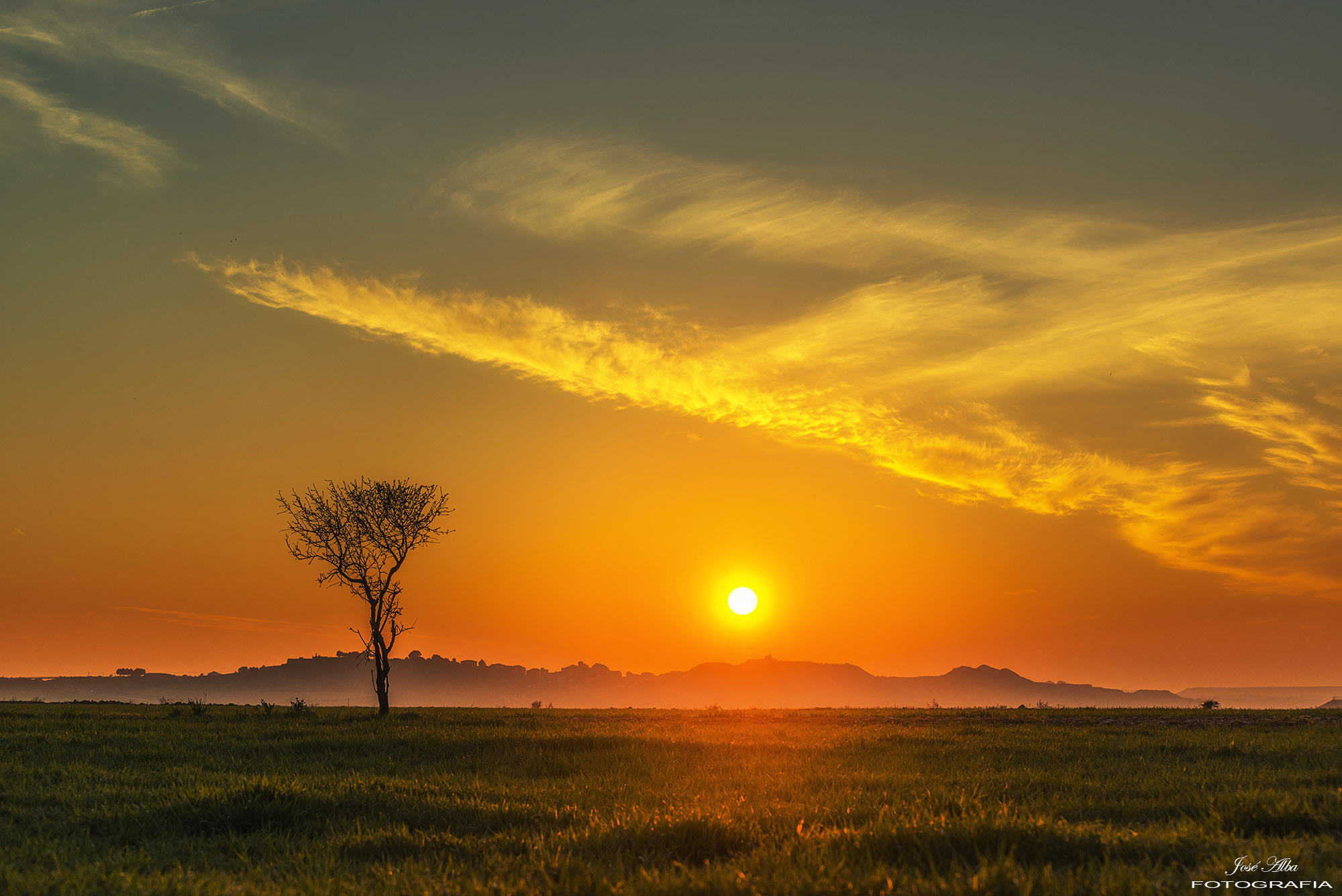 Nikon D800 sample photo. Solo en los llanos photography