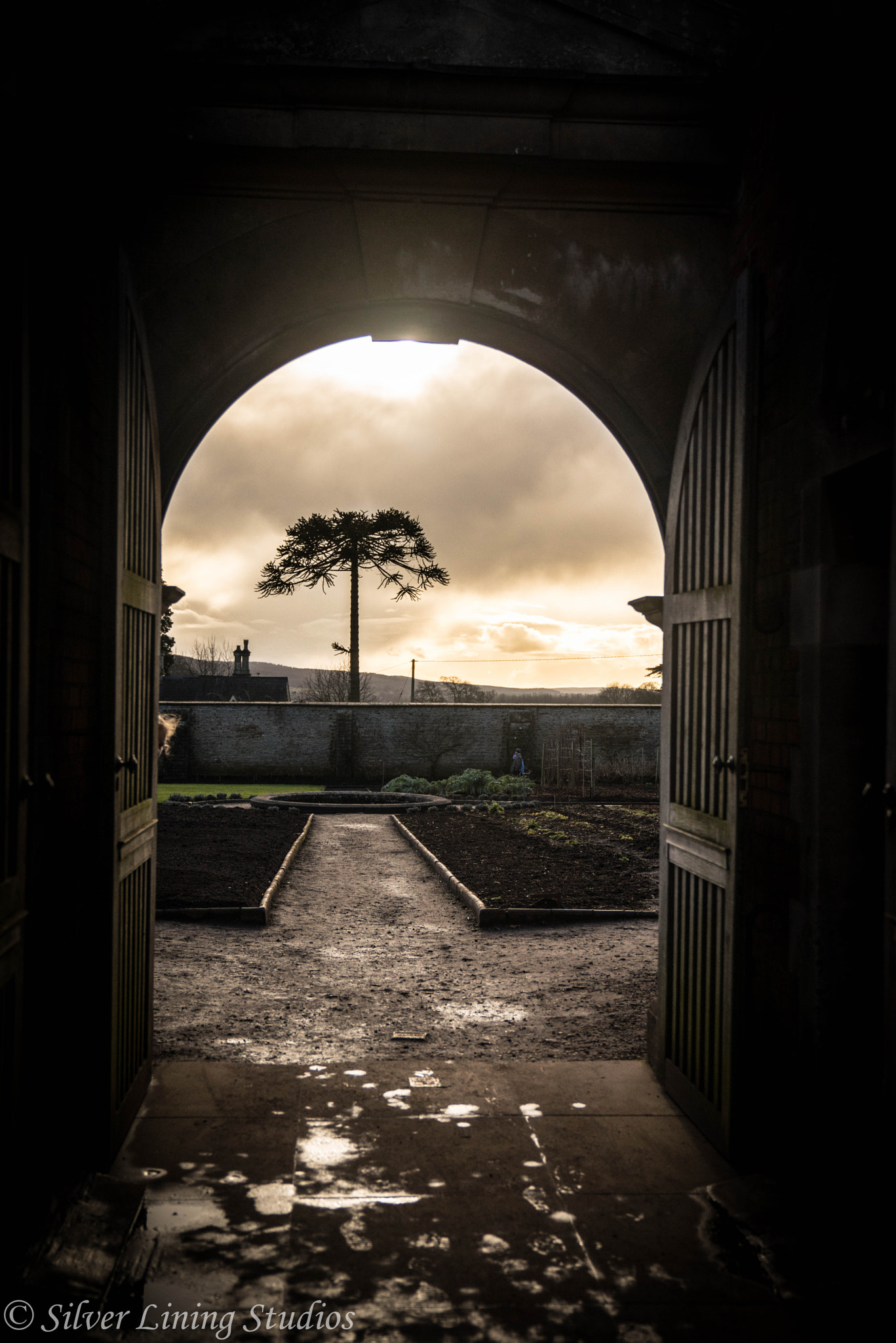 Sony a7R + Sony FE 24-70mm F2.8 GM sample photo. Tyntesfield sunset photography