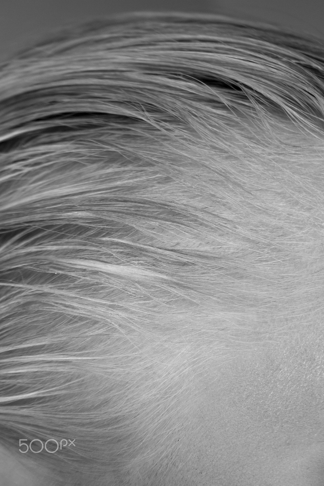 Canon EF-S 18-55mm F3.5-5.6 II sample photo. Hair photography