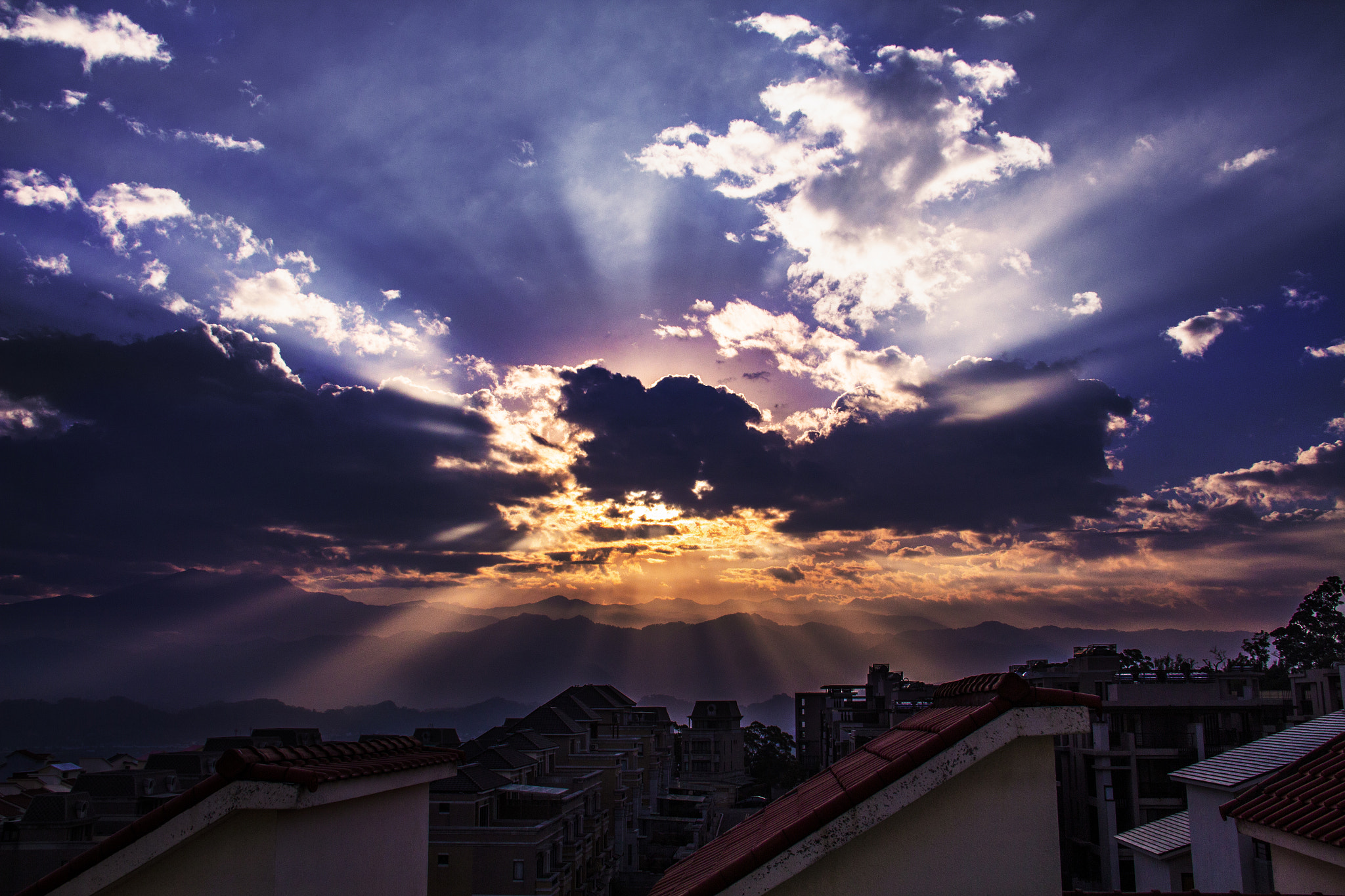 Canon EF-S 18-200mm F3.5-5.6 IS sample photo. Suprise from roof~ photography