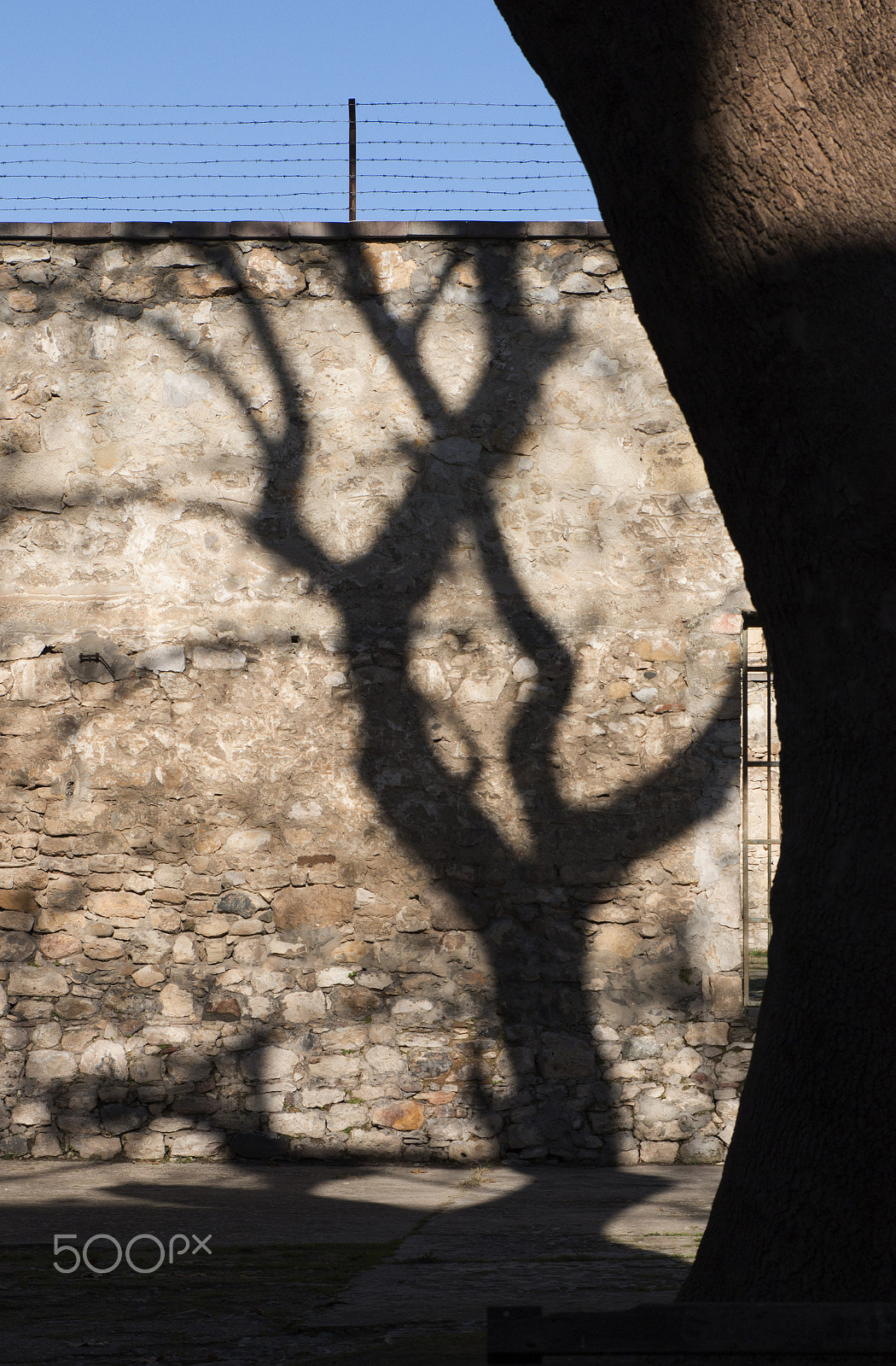Sigma 24-70mm F2.8 EX DG Macro sample photo. Shadow on the wall photography