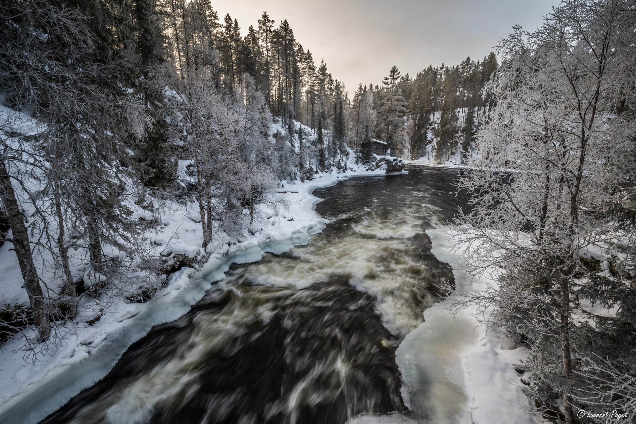 Nikon D7200 sample photo. Oulanka photography