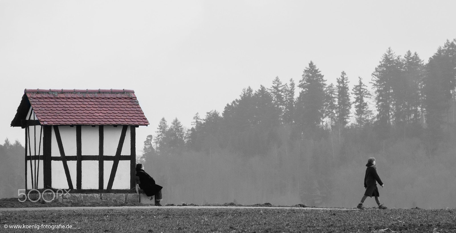 Fujifilm X-M1 + Fujifilm XC 50-230mm F4.5-6.7 OIS sample photo. Walk photography