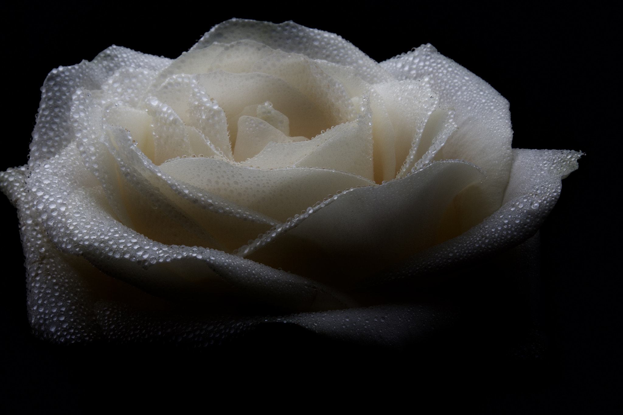Olympus OM-D E-M1 sample photo. From dark to light photography