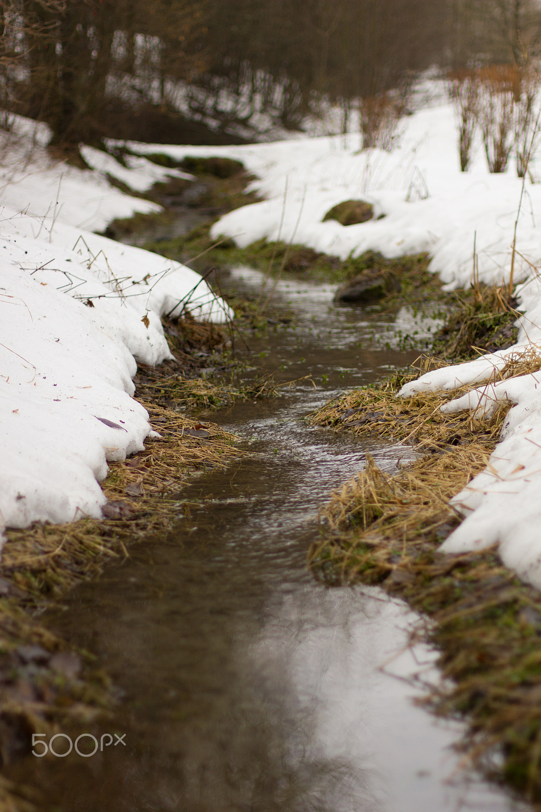 Canon EOS 550D (EOS Rebel T2i / EOS Kiss X4) + Canon EF 50mm F1.4 USM sample photo. Helle creek in winterberg photography