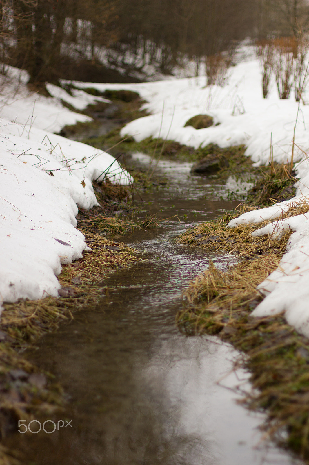 Canon EOS 550D (EOS Rebel T2i / EOS Kiss X4) sample photo. Helle creek in winterberg photography