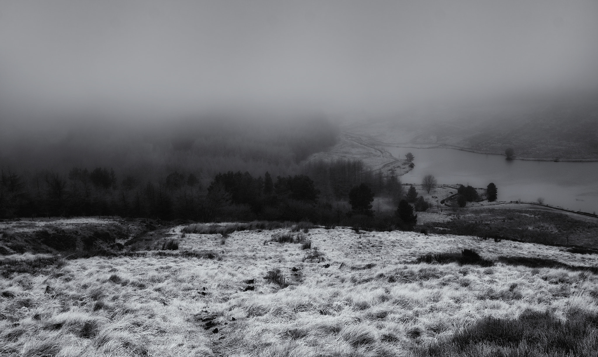 Canon EF-S 10-22mm F3.5-4.5 USM sample photo. Wild in black and white photography