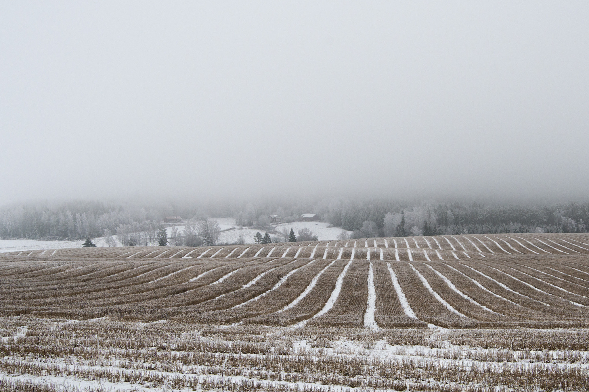 Nikon D800 sample photo. Cottage in mist photography