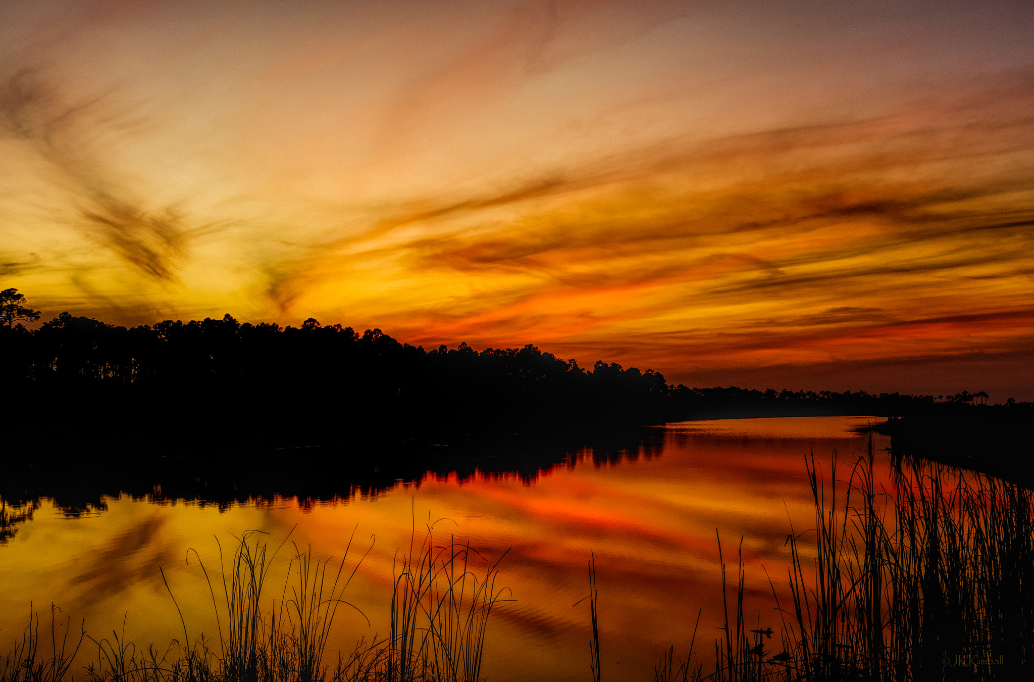 Nikon AF-S Nikkor 24-70mm F2.8G ED sample photo. Natures watercolor photography