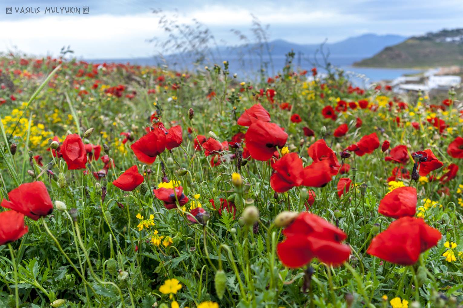 Sony Alpha DSLR-A900 sample photo. ανοιξη - Весна .. photography