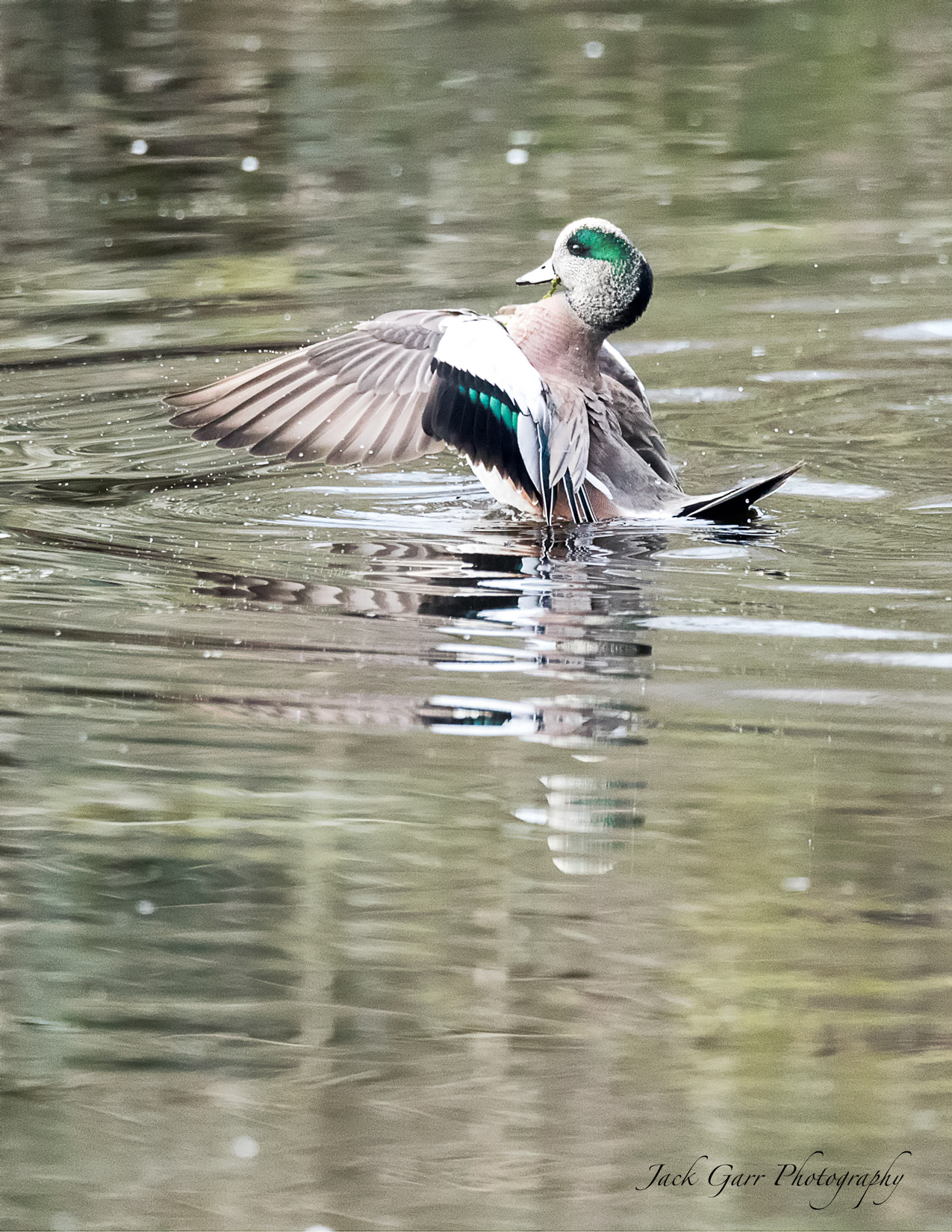 Canon EOS-1D X Mark II + 150-600mm F5-6.3 DG OS HSM | Sports 014 sample photo. Blue-winged teal + green-winged teal photography