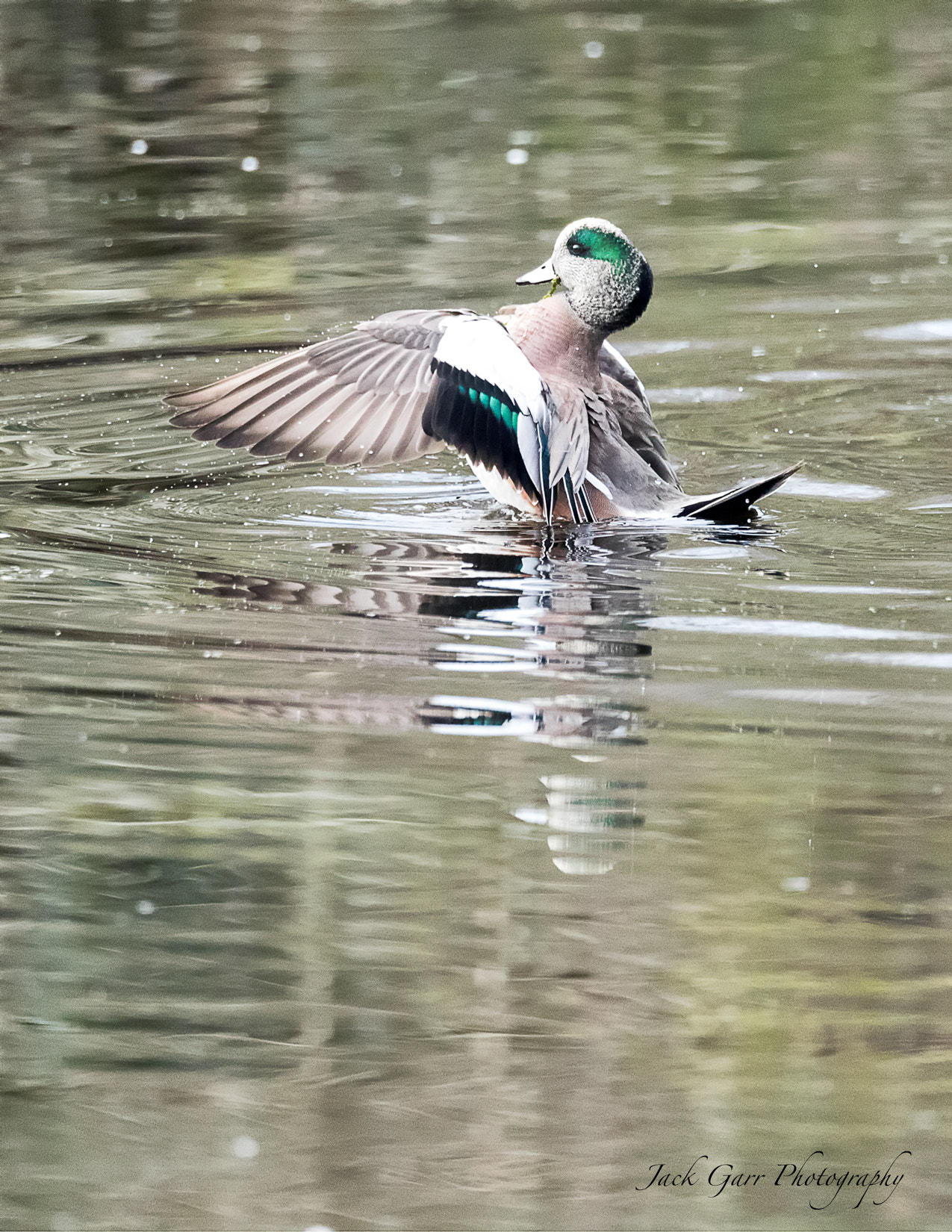 150-600mm F5-6.3 DG OS HSM | Sports 014 sample photo. Blue-winged teal + green-winged teal photography