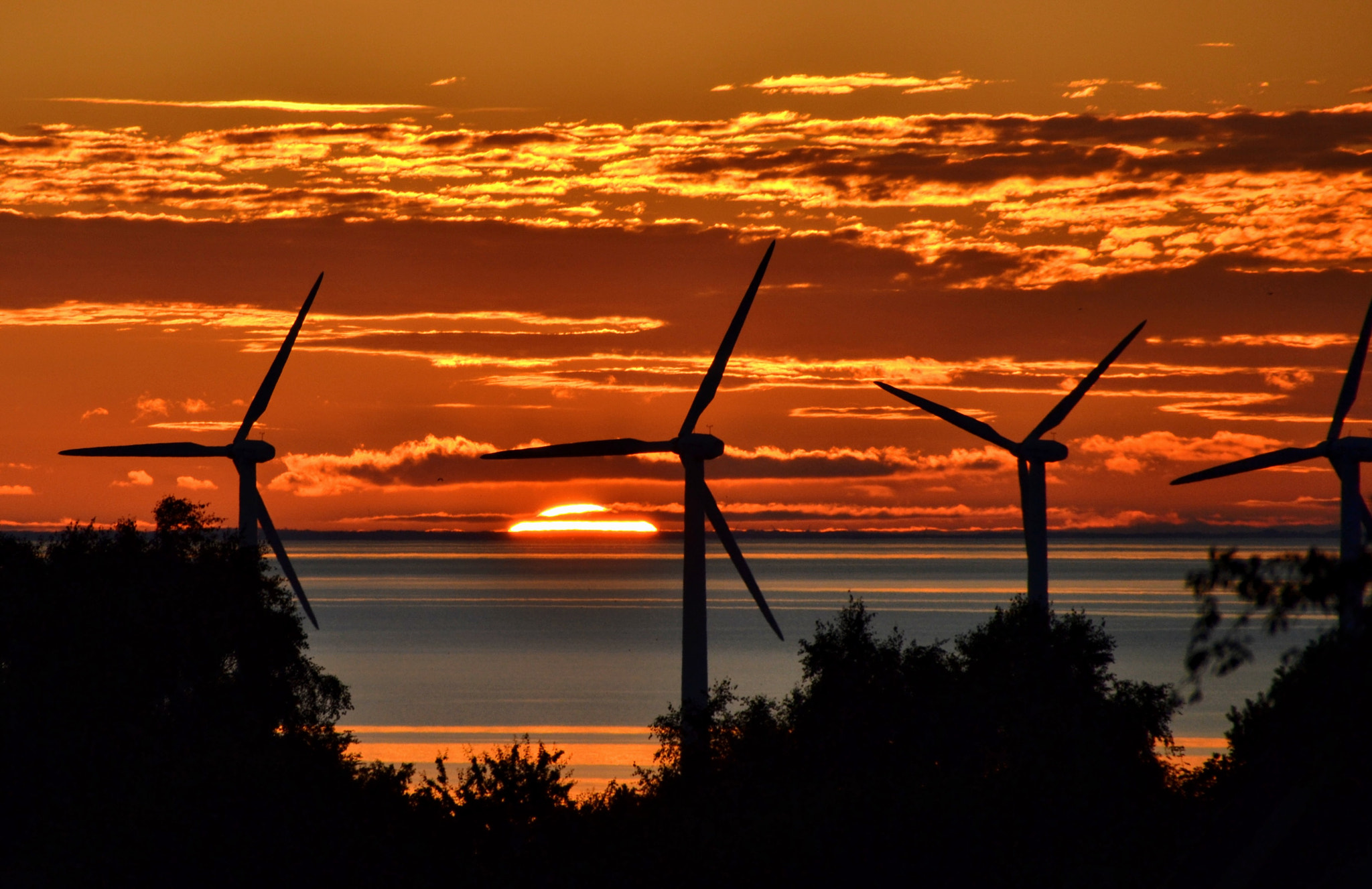 Nikon D3100 sample photo. Danish windmills in the sunset photography