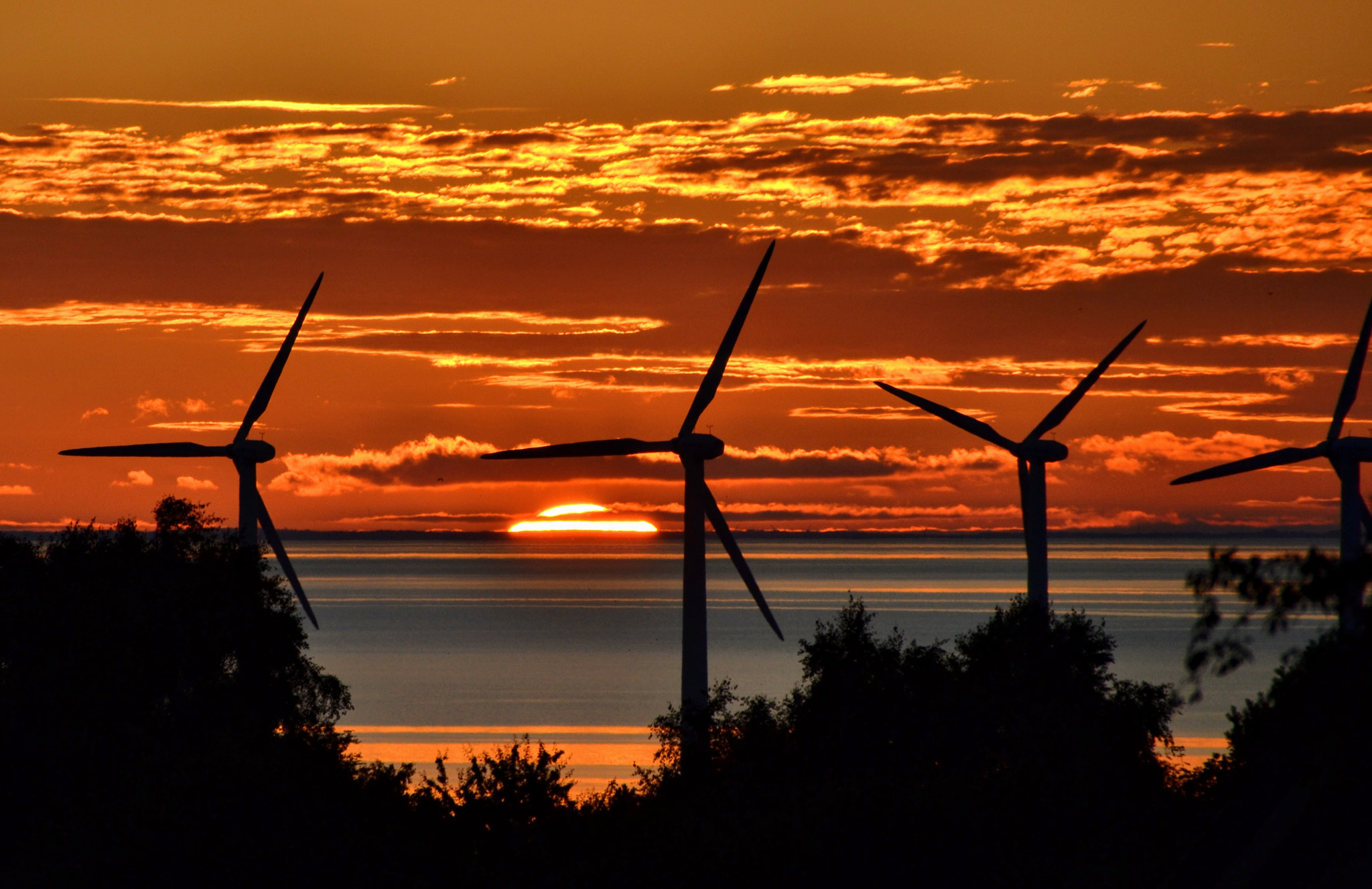 Nikon D3100 + Sigma 18-250mm F3.5-6.3 DC OS HSM sample photo. Danish windmills in the sunset photography