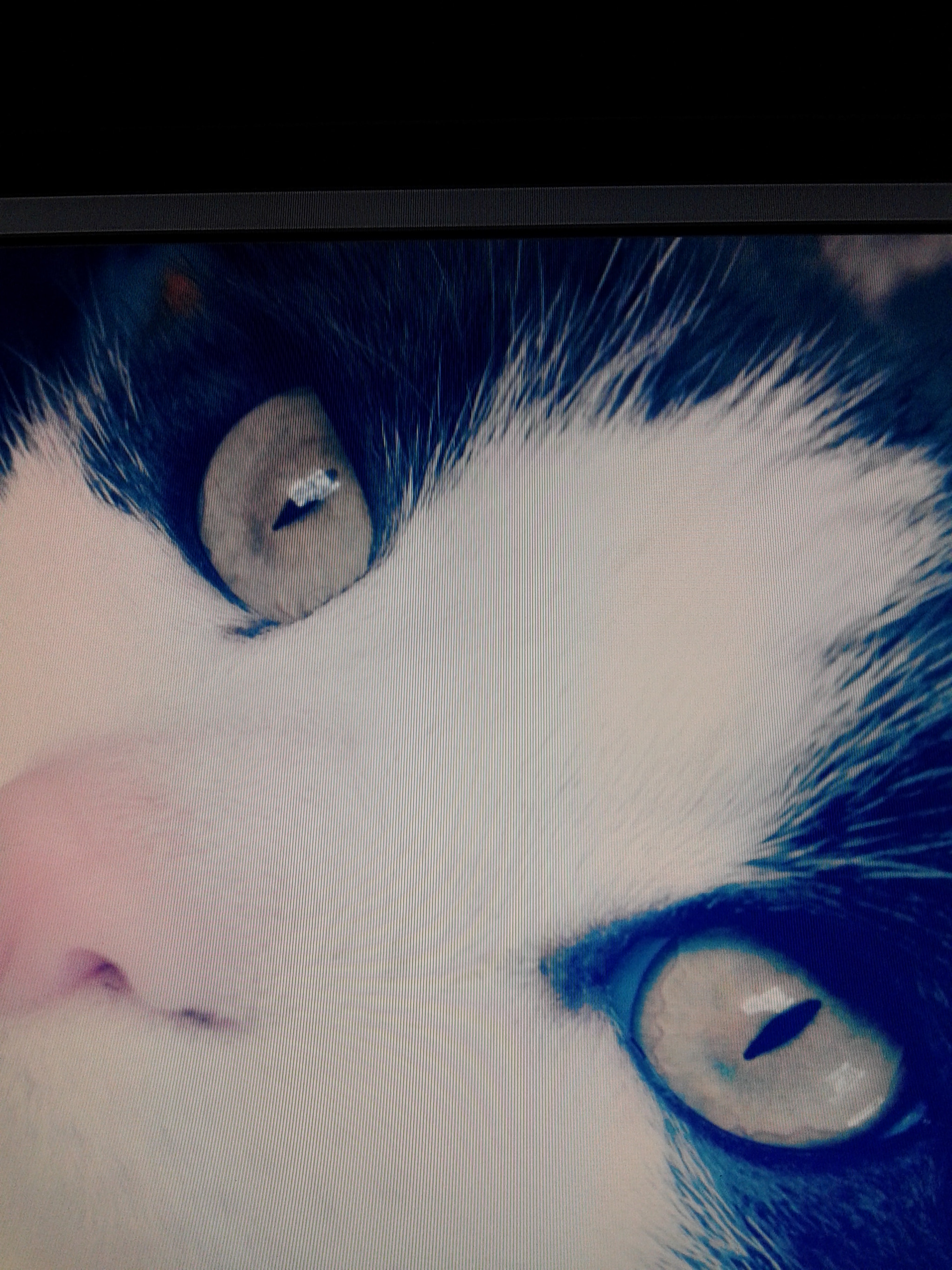 Samsung Galaxy Core sample photo. 20151024_200708.jpg photography