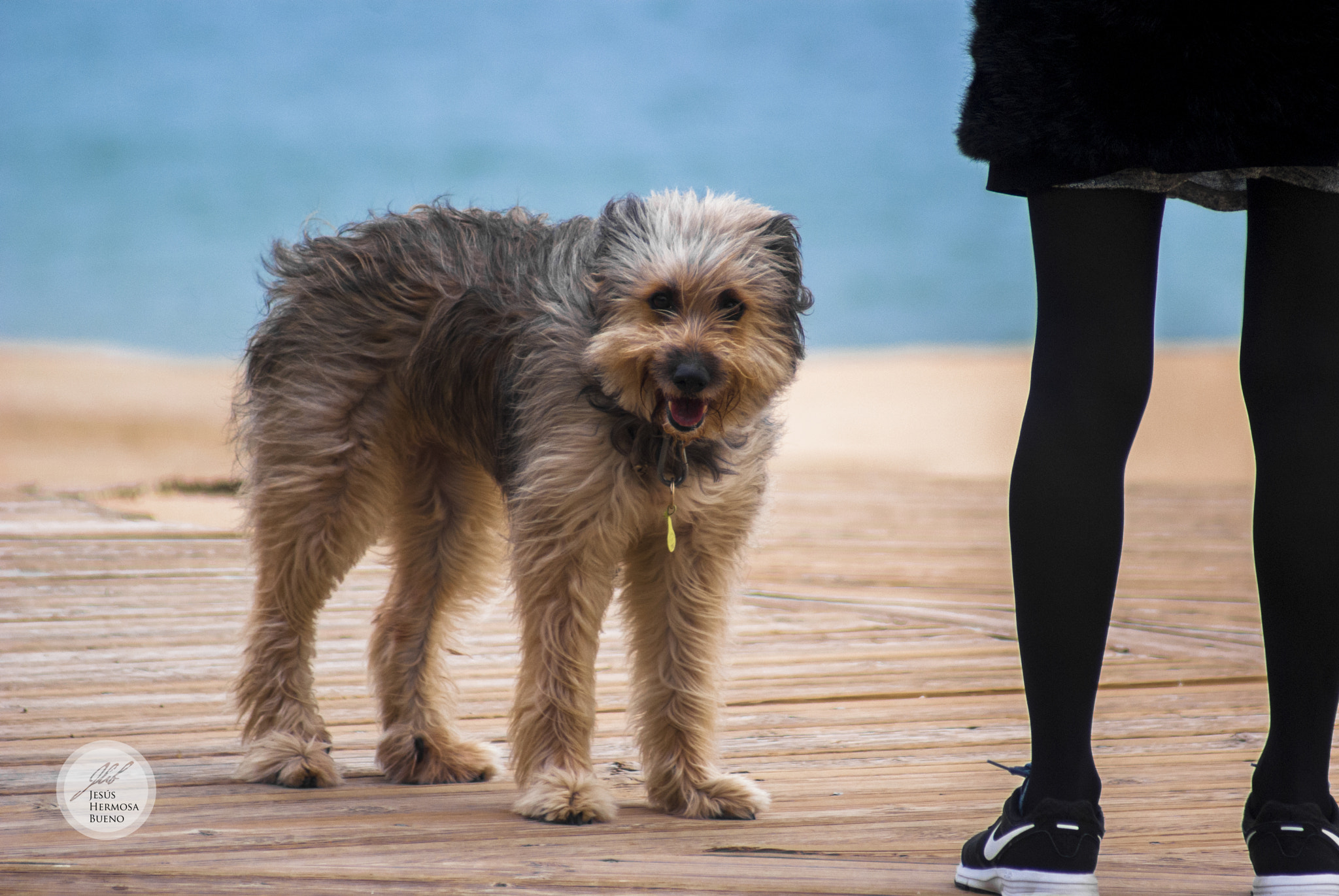 Sony 75-300mm F4.5-5.6 sample photo. Al viento (ii) photography