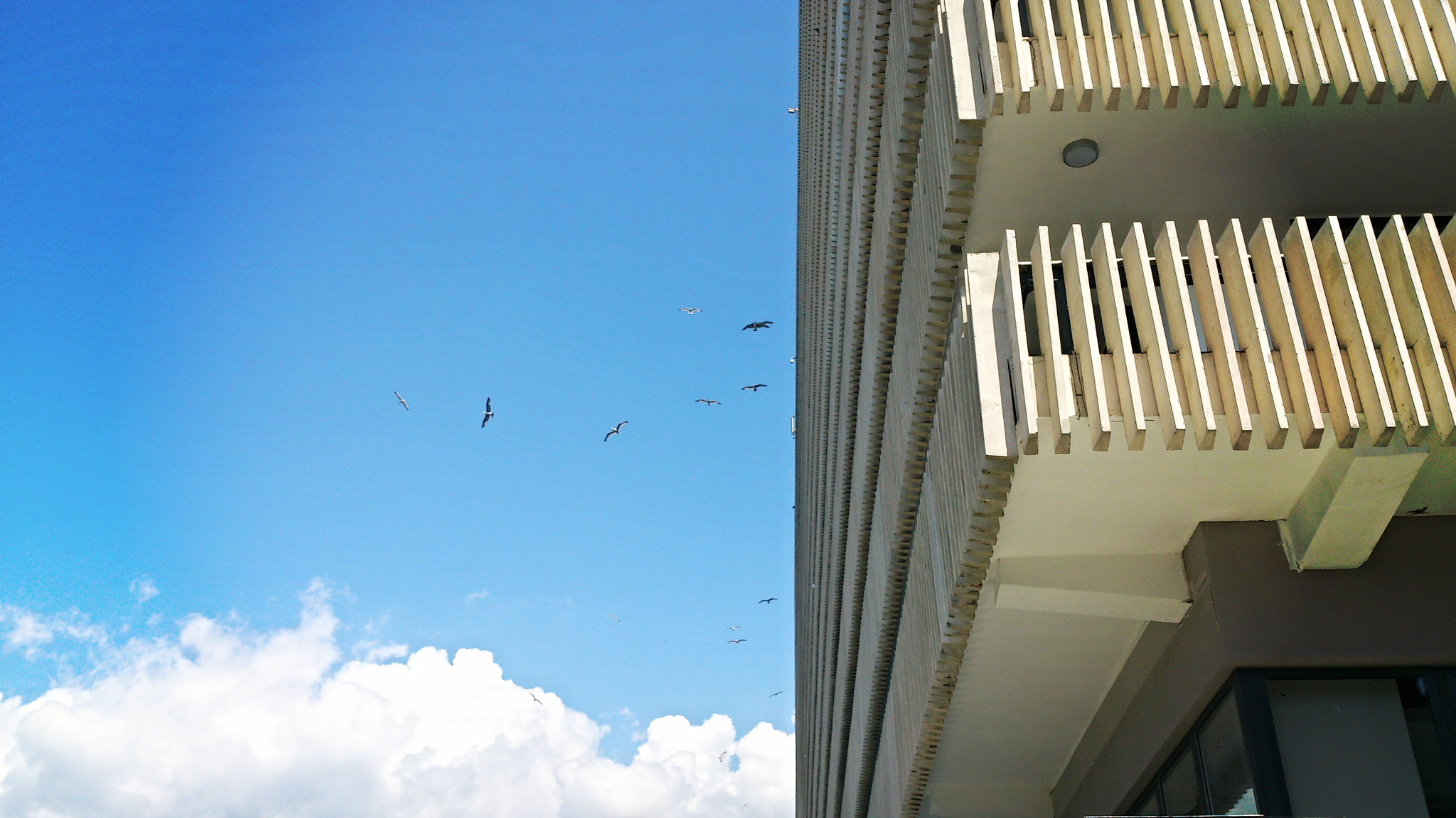 Sony Xperia V sample photo. 001.jpg photography
