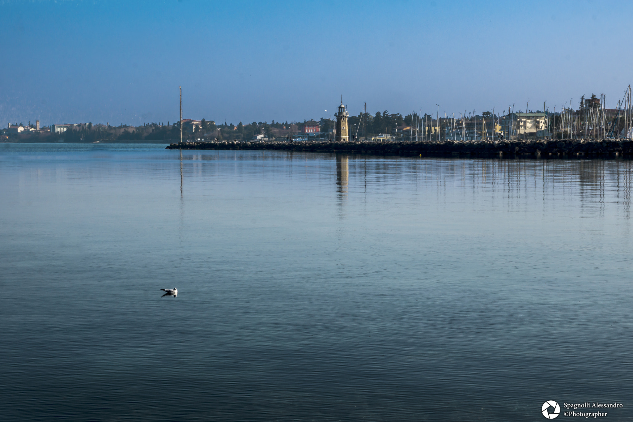 Sony SLT-A77 + Tamron SP 24-70mm F2.8 Di VC USD sample photo. Keep calm photography