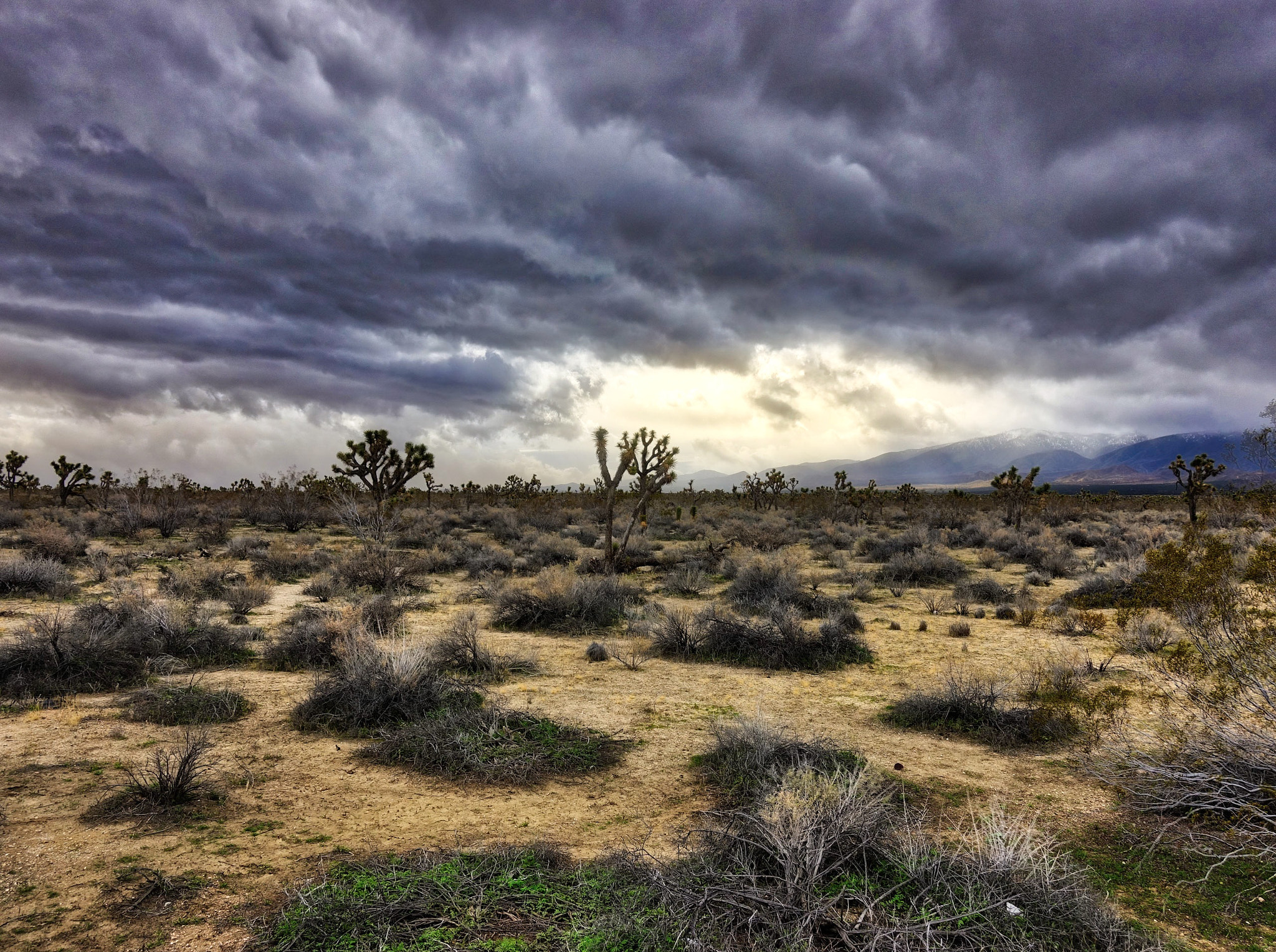 Sony DSC-RX100M5 + Sony 24-70mm F1.8-2.8 sample photo. High desert rainstorm photography