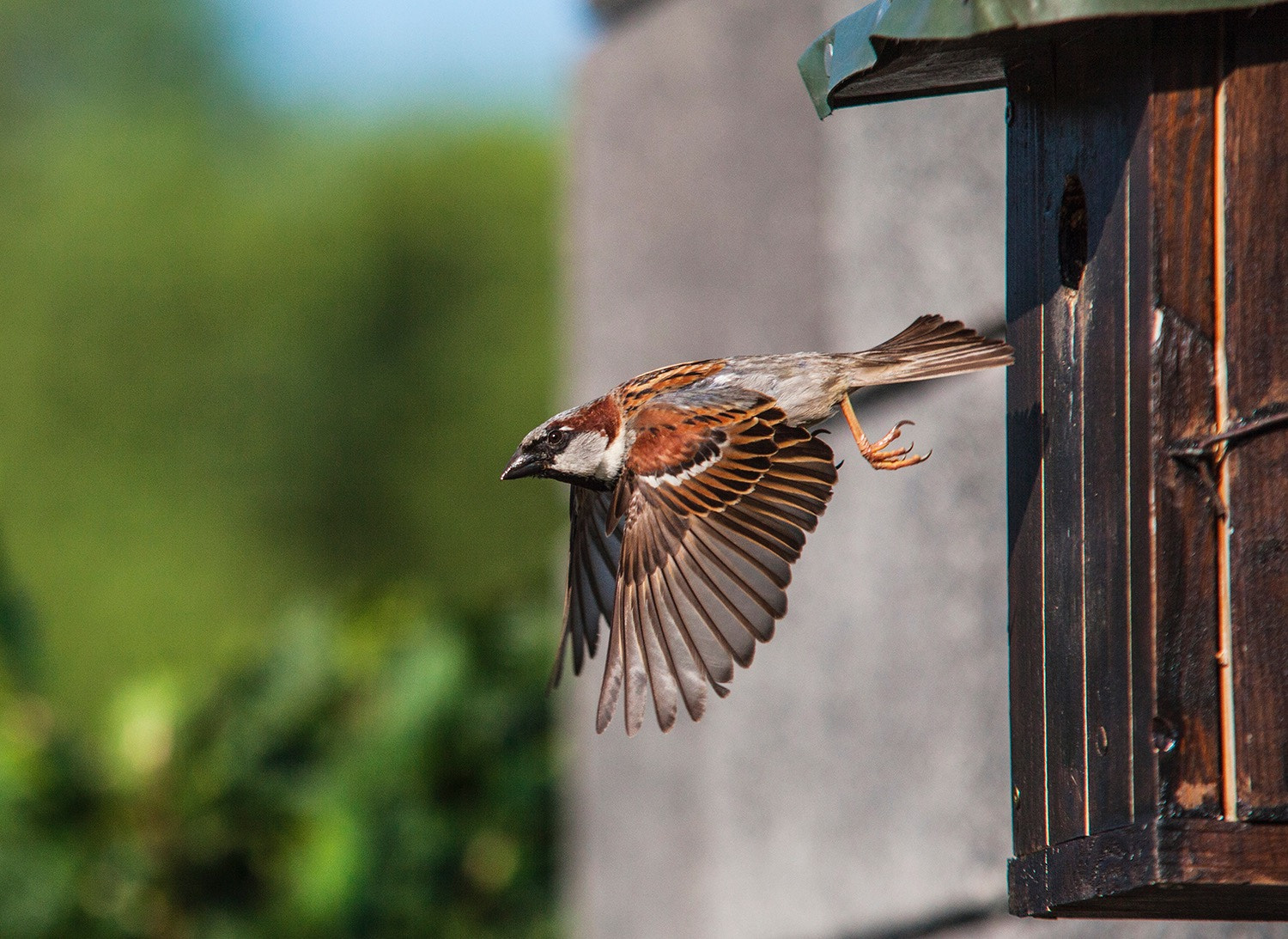 Sigma 70-200mm F2.8 EX DG OS HSM sample photo. Abflug photography