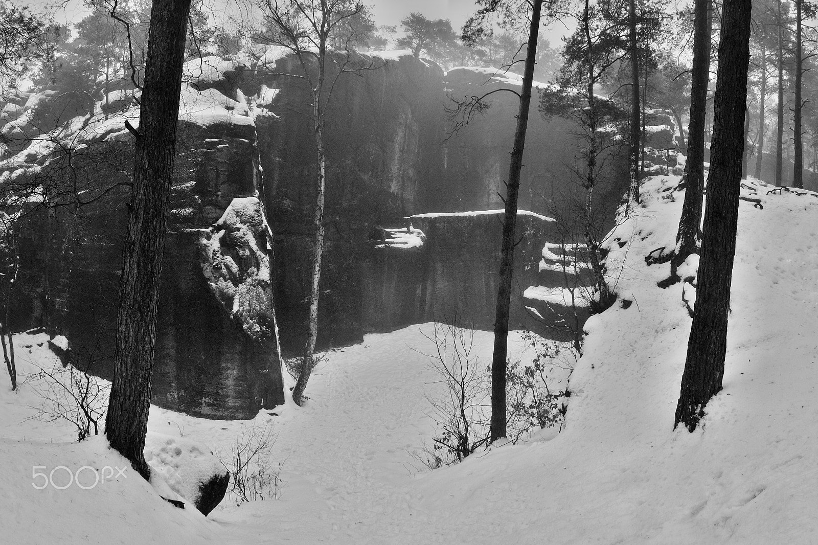 Nikon Coolpix P6000 sample photo. Skautska skala rock in winter snowy pinewood in machuv kraj region in czech republic photography