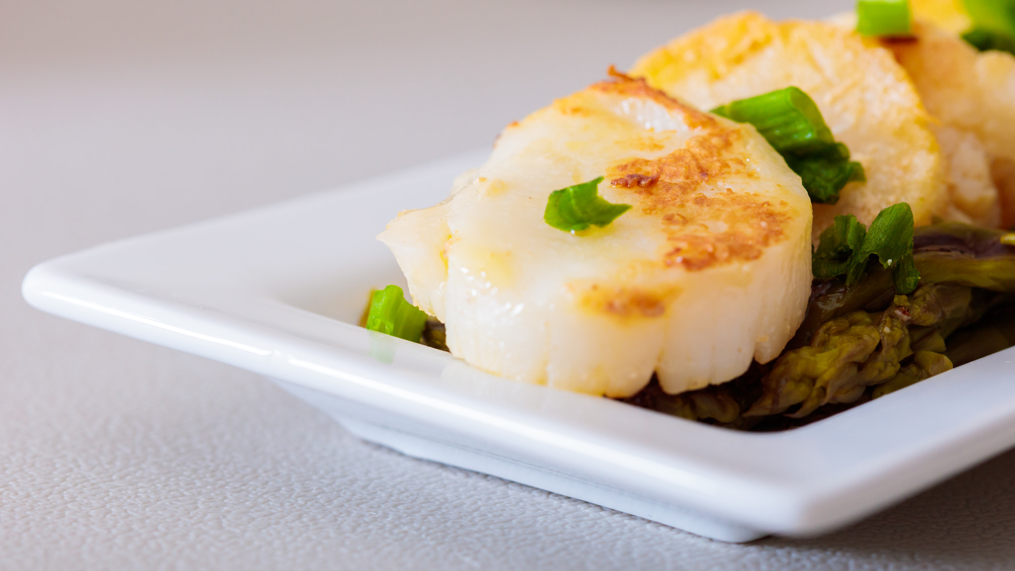 Canon EF 100mm F2.8 Macro USM sample photo. Scallop photography