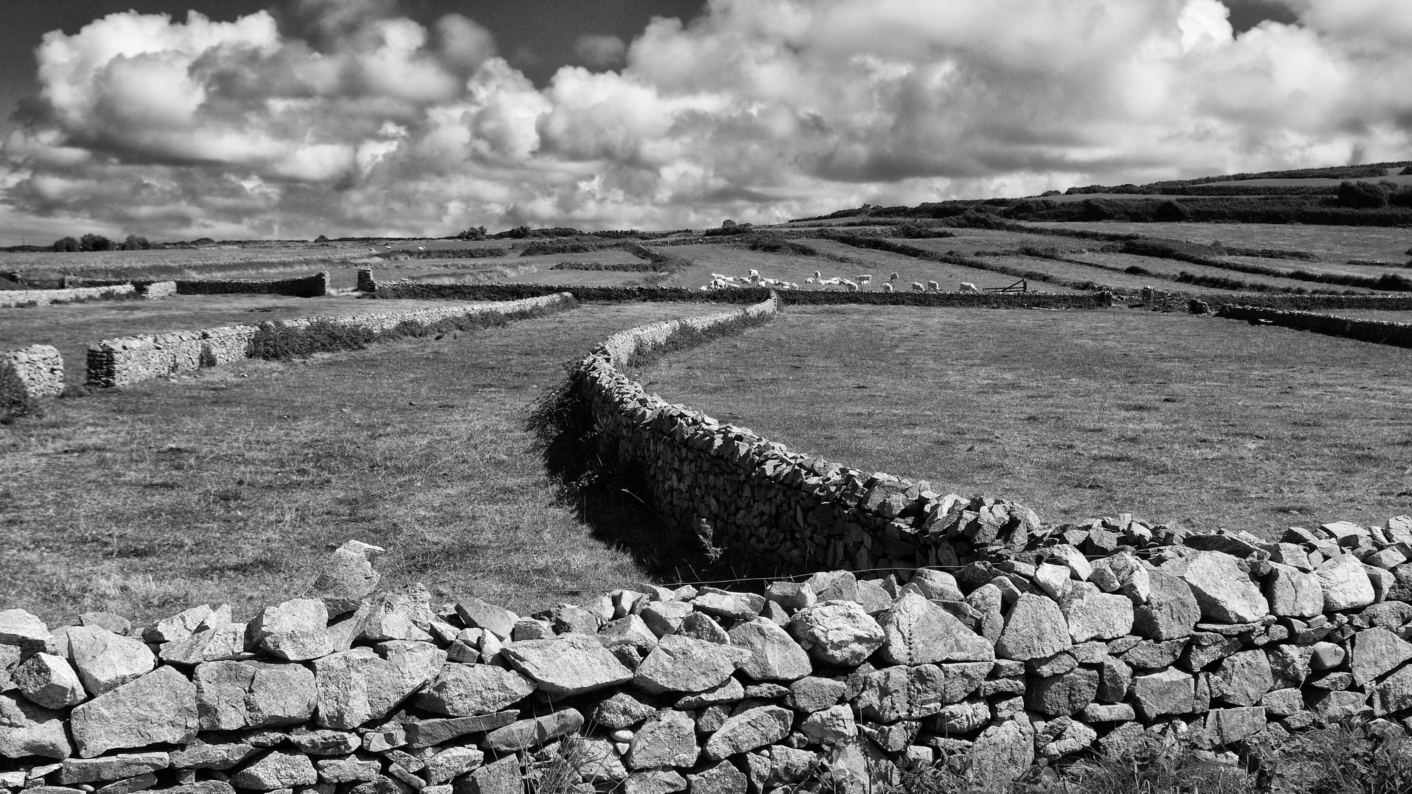 Pentax K-3 sample photo. Stone hedges photography