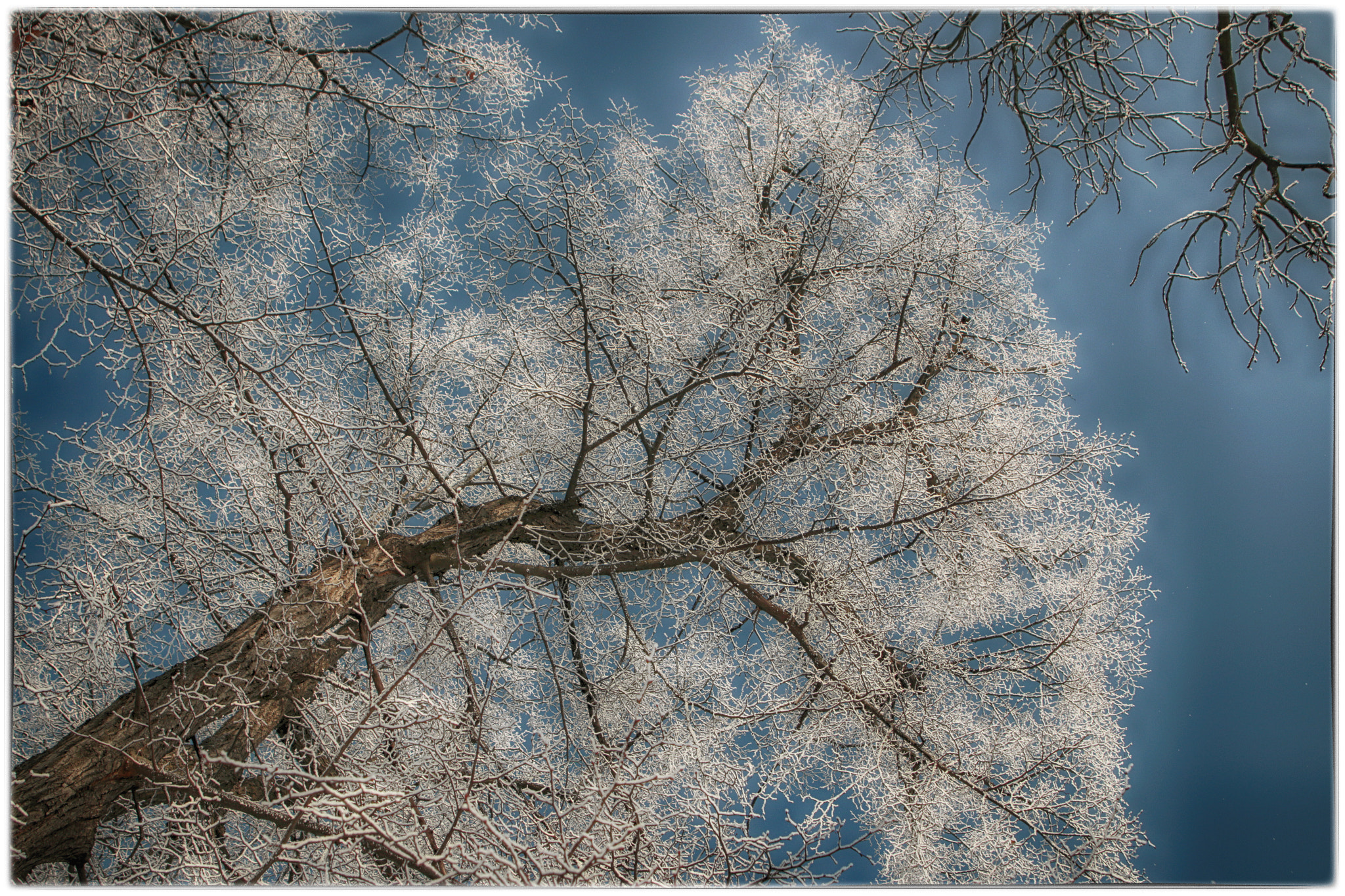 Canon EF 28-105mm f/3.5-4.5 USM sample photo. To the sky ii. photography