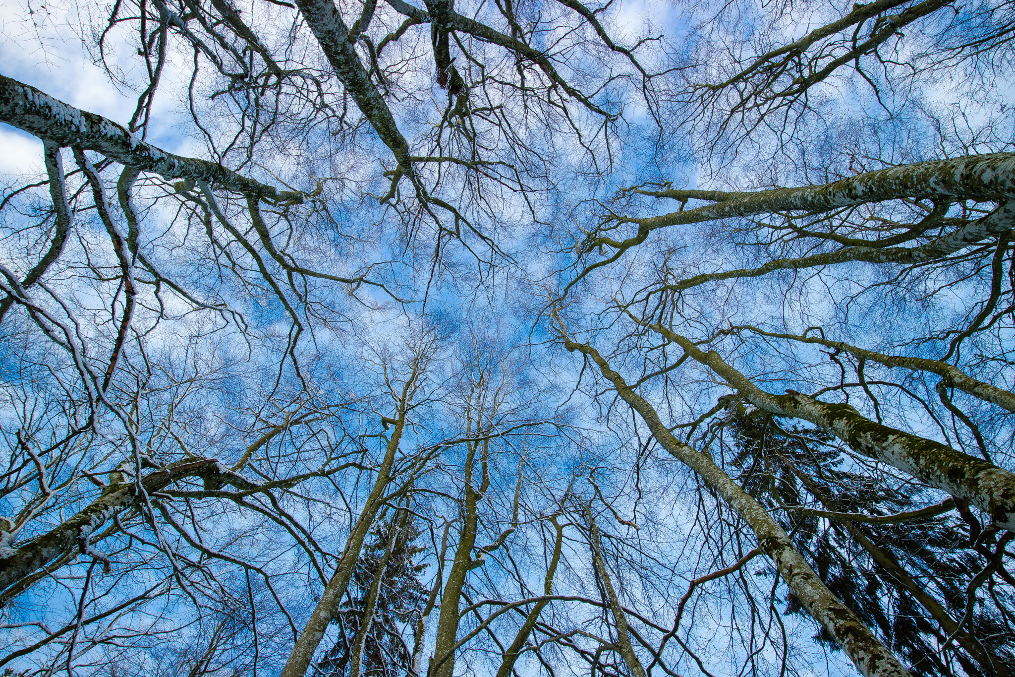 Canon EF-M 11-22mm F4-5.6 IS STM sample photo. Sky is the limit photography